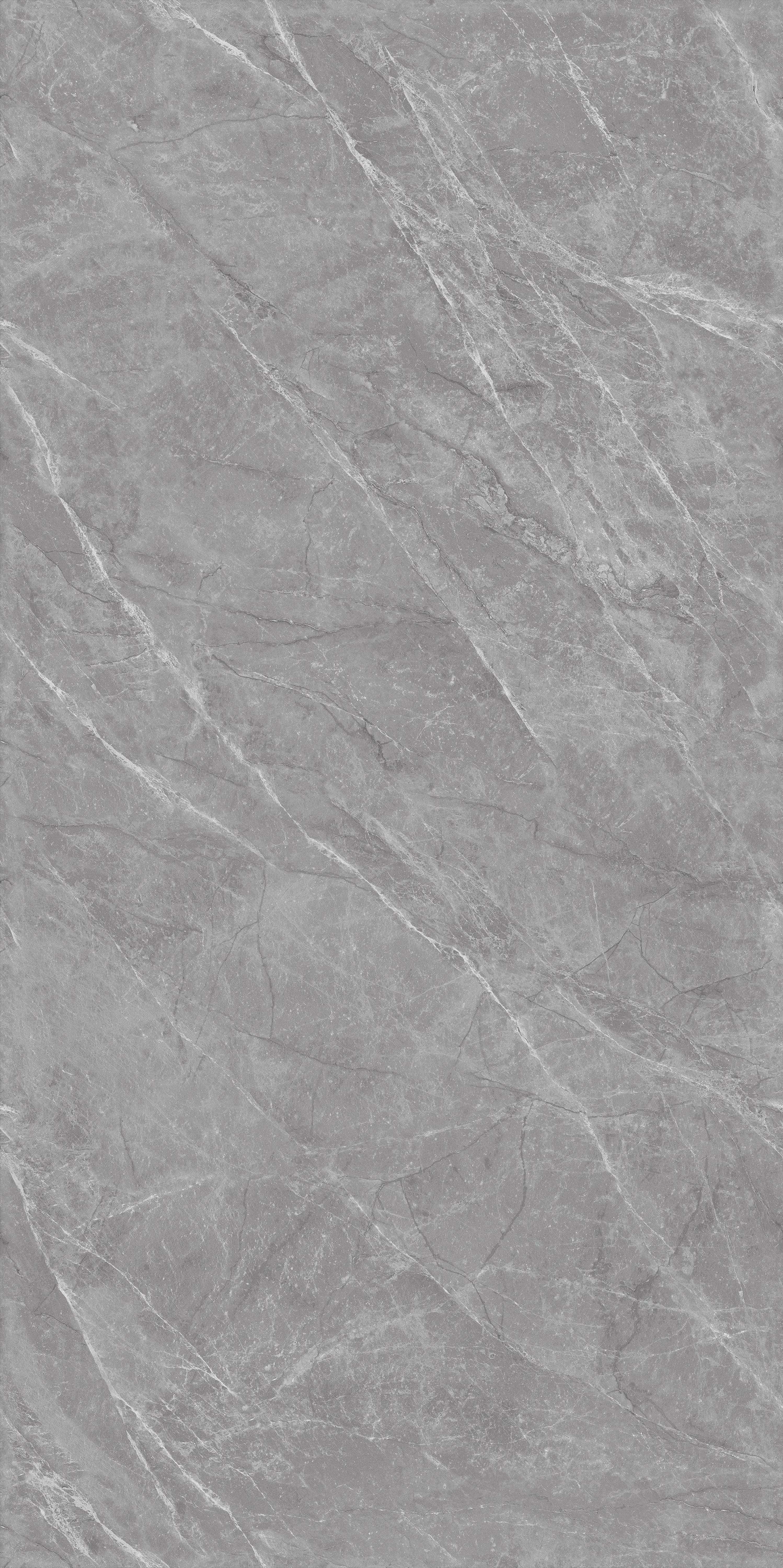Amarylis Grey