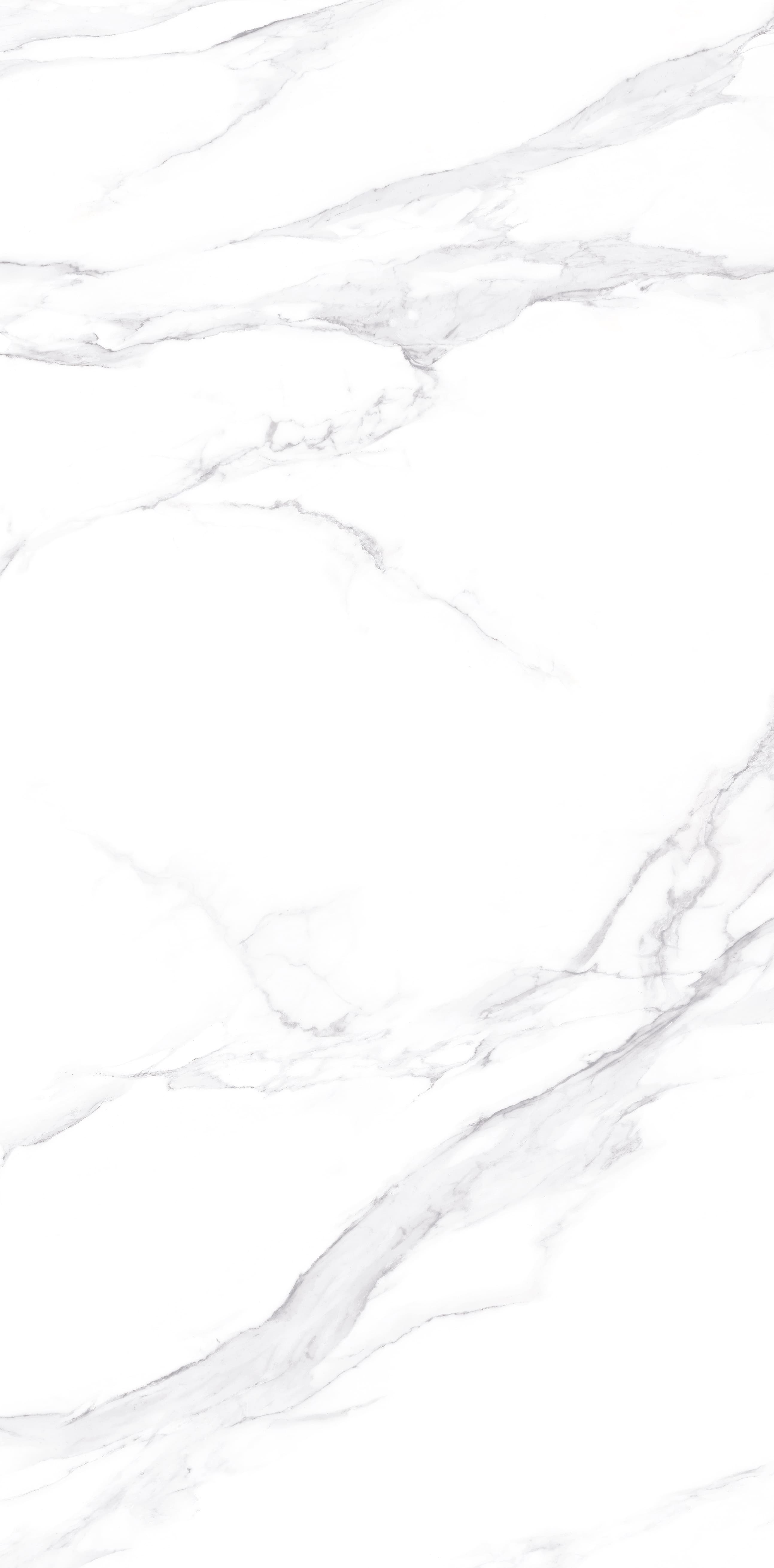 Belluno White