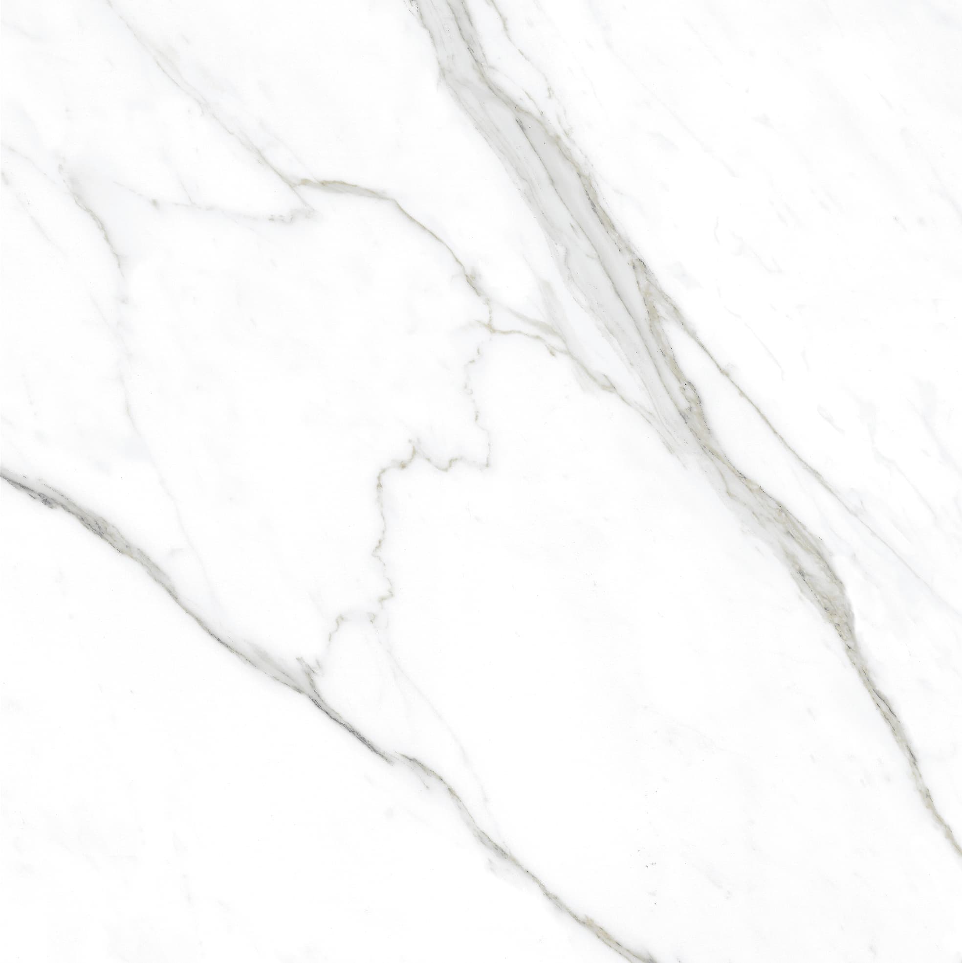 Bianco Forza thumb 2
