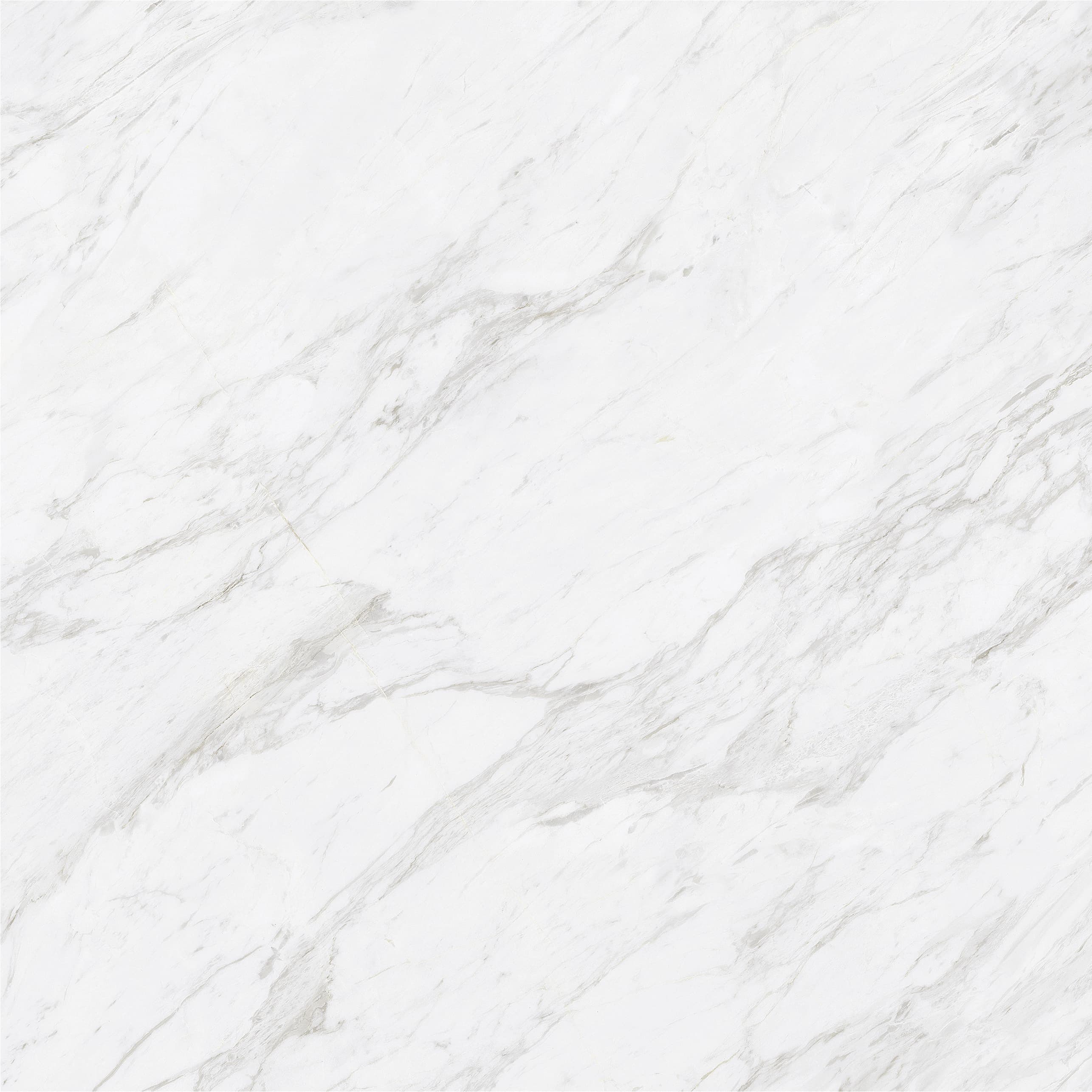 Carrara Bianco