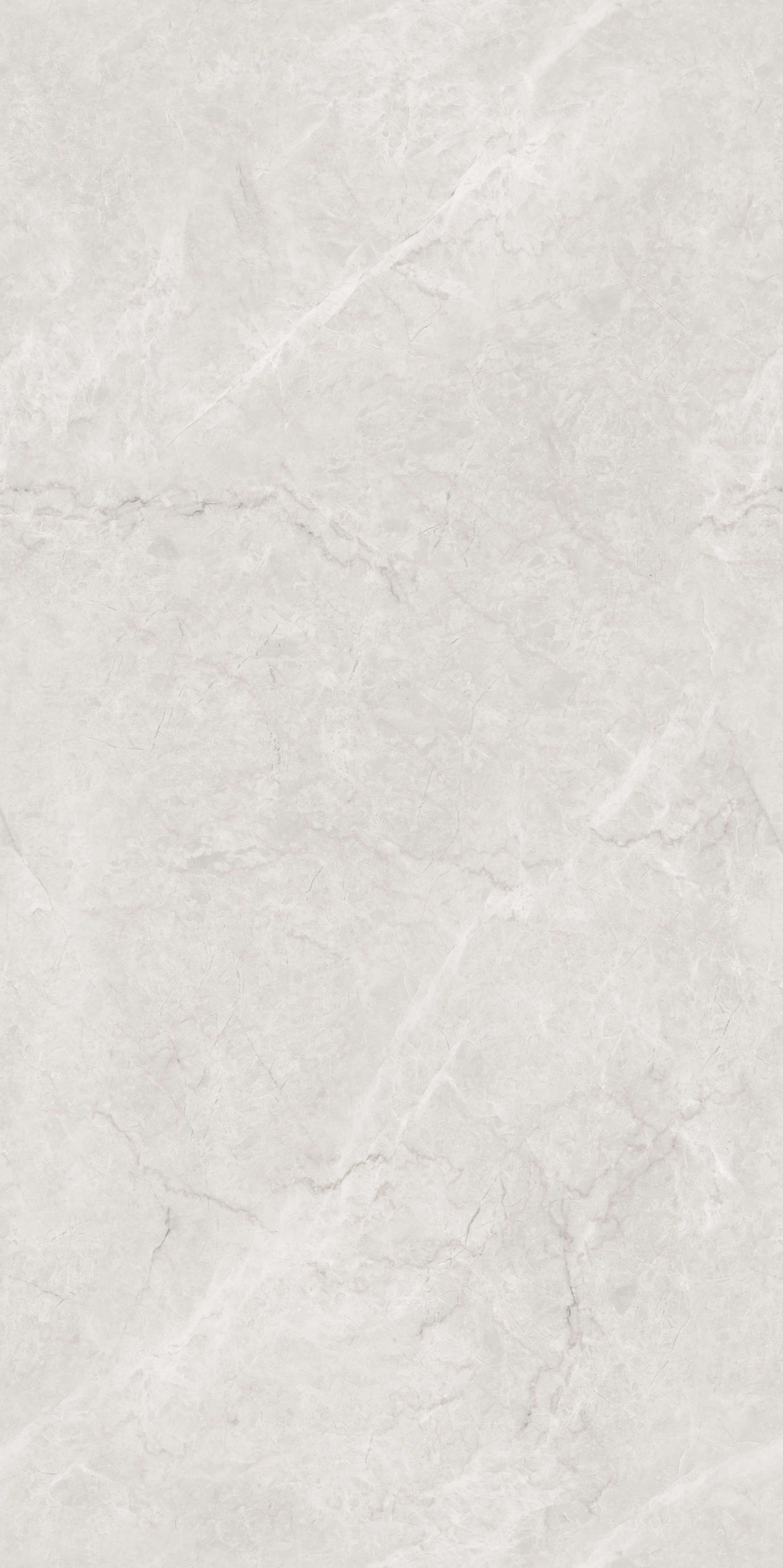 Coropuna Grey