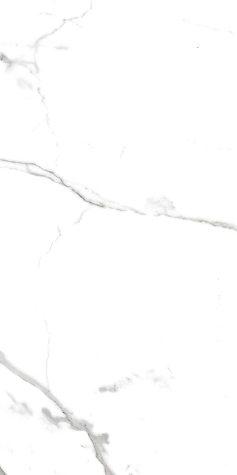 Savio Carrara thumb 1