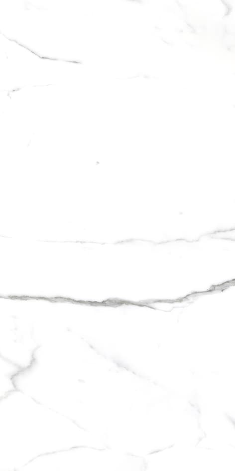 Savio Carrara thumb 2