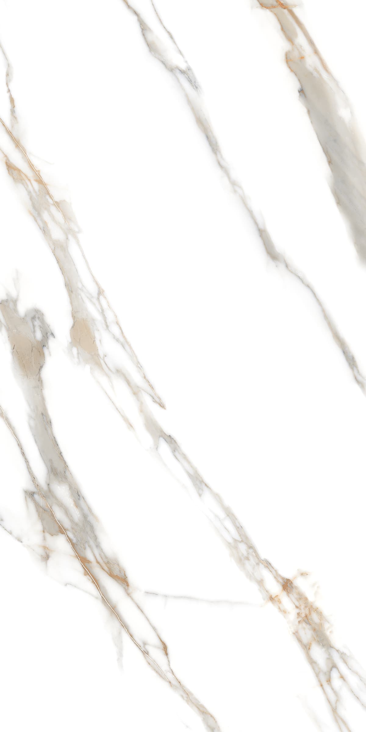 White Togano thumb 4