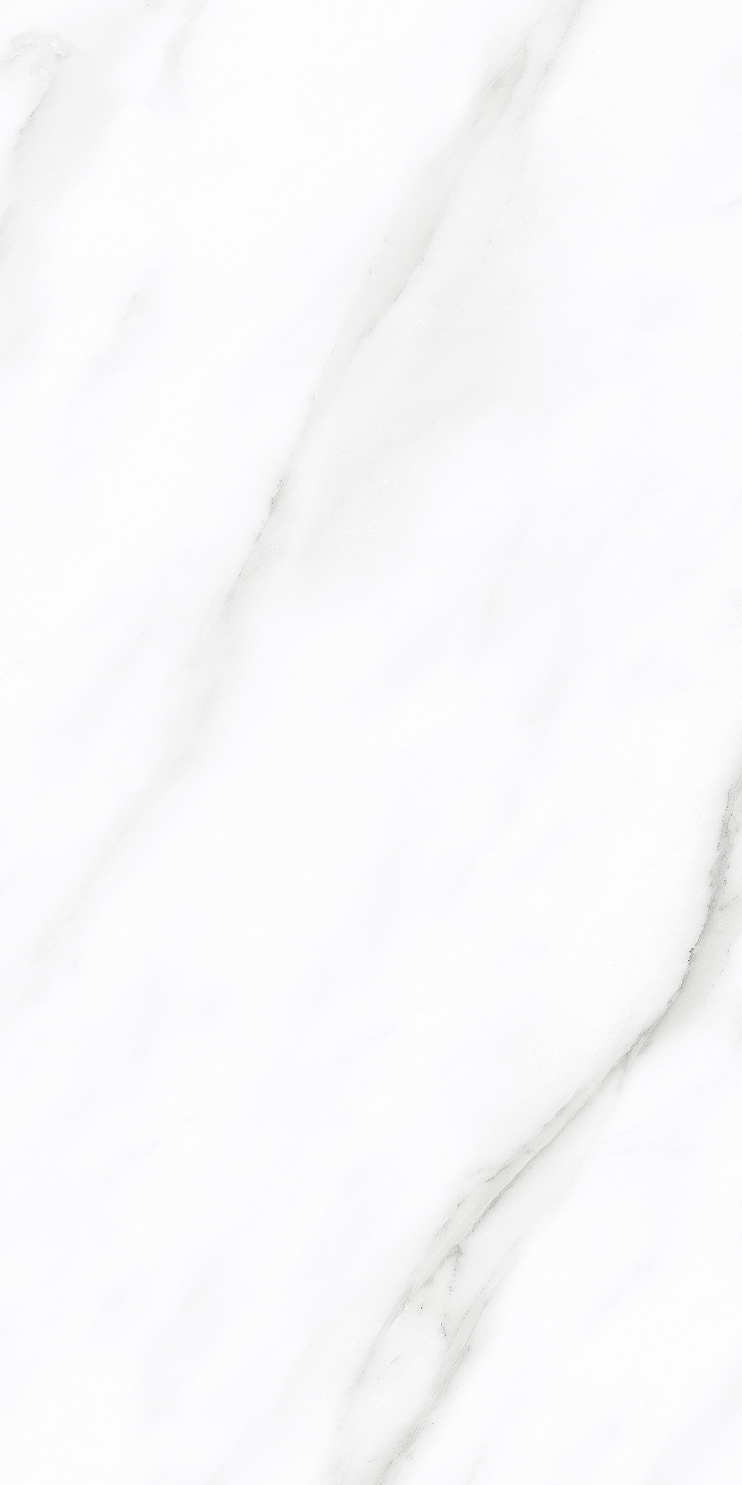 Eider White thumb 1
