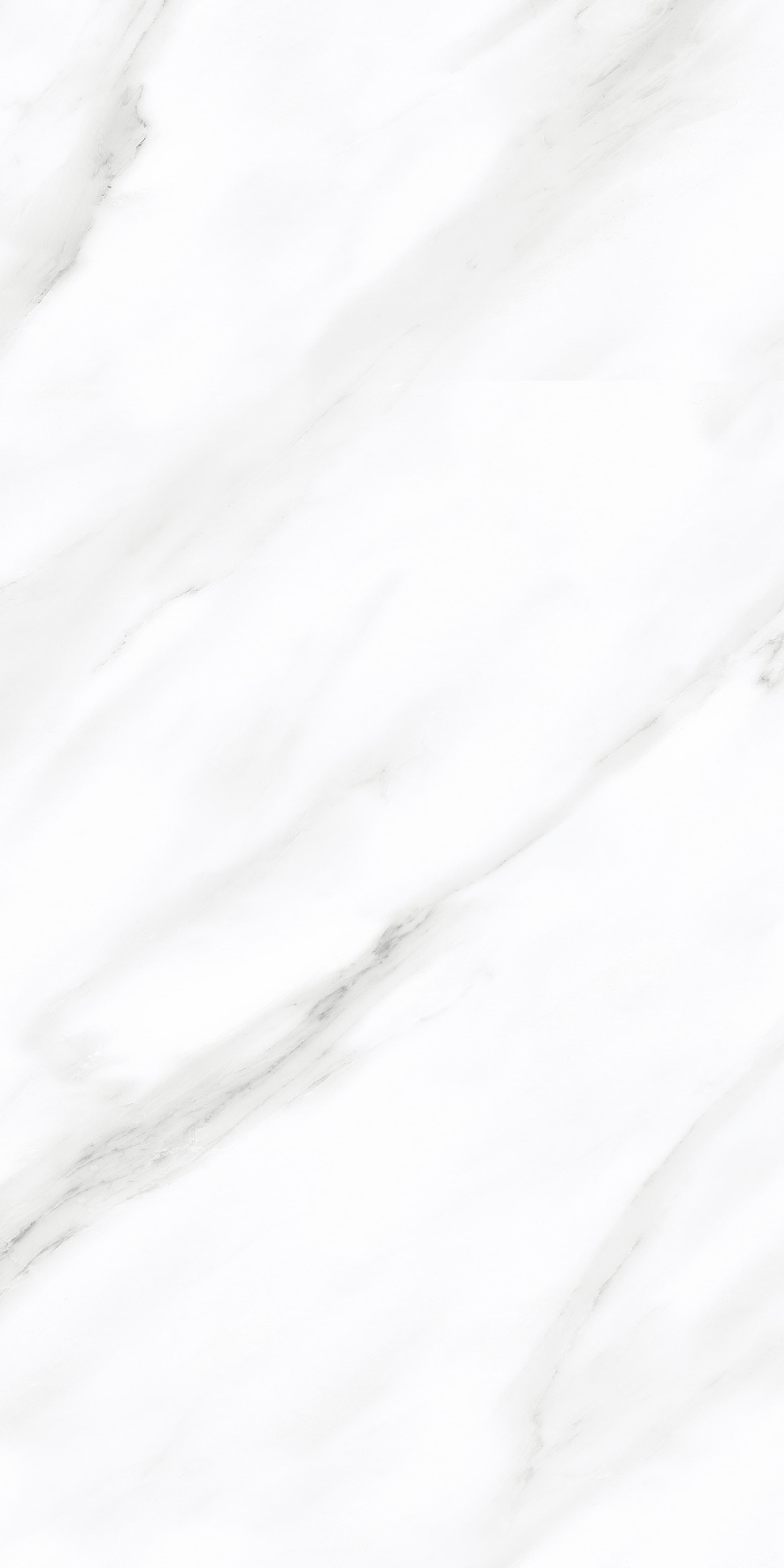 Eider White thumb 2