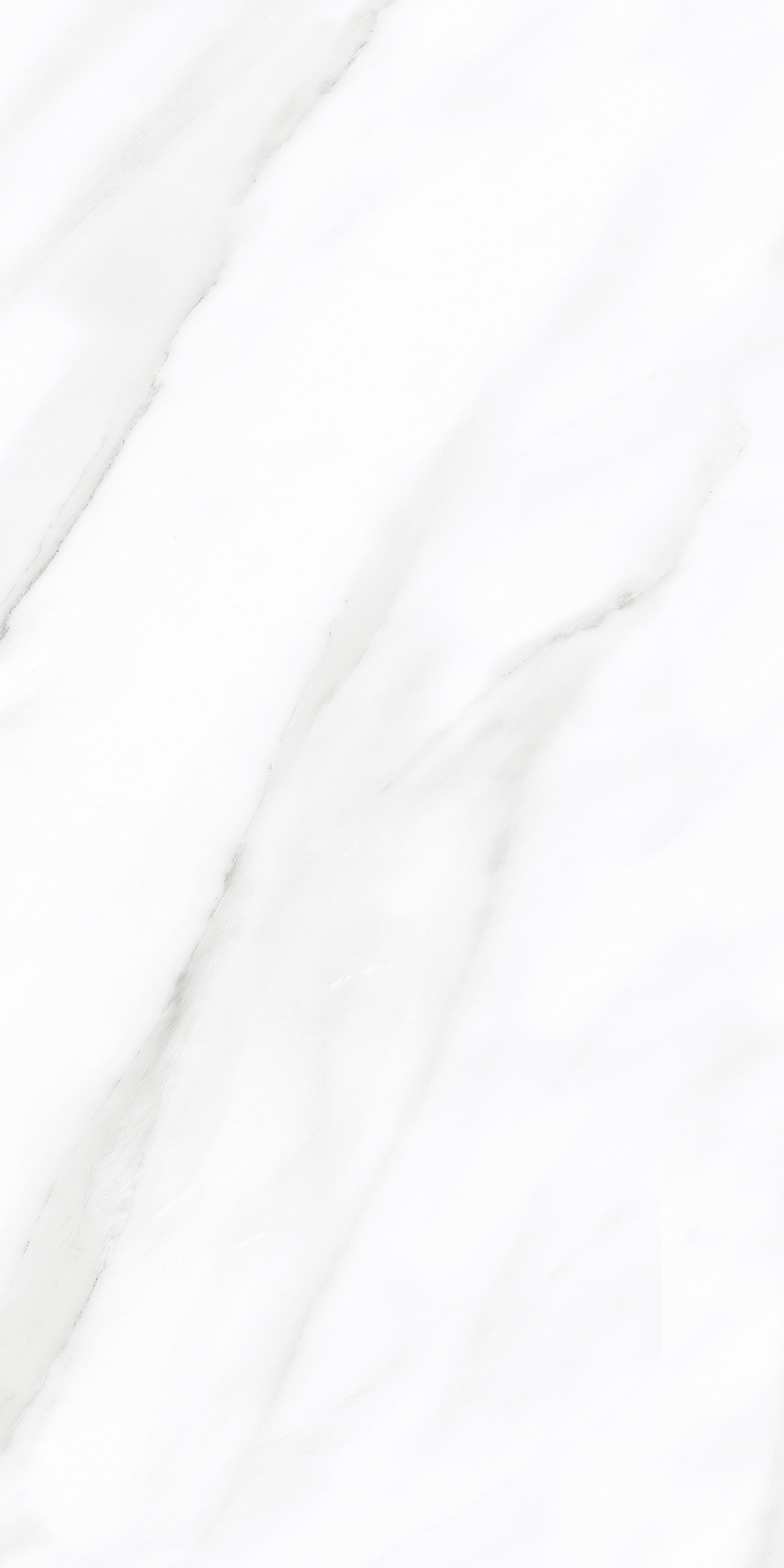 Eider White thumb 3