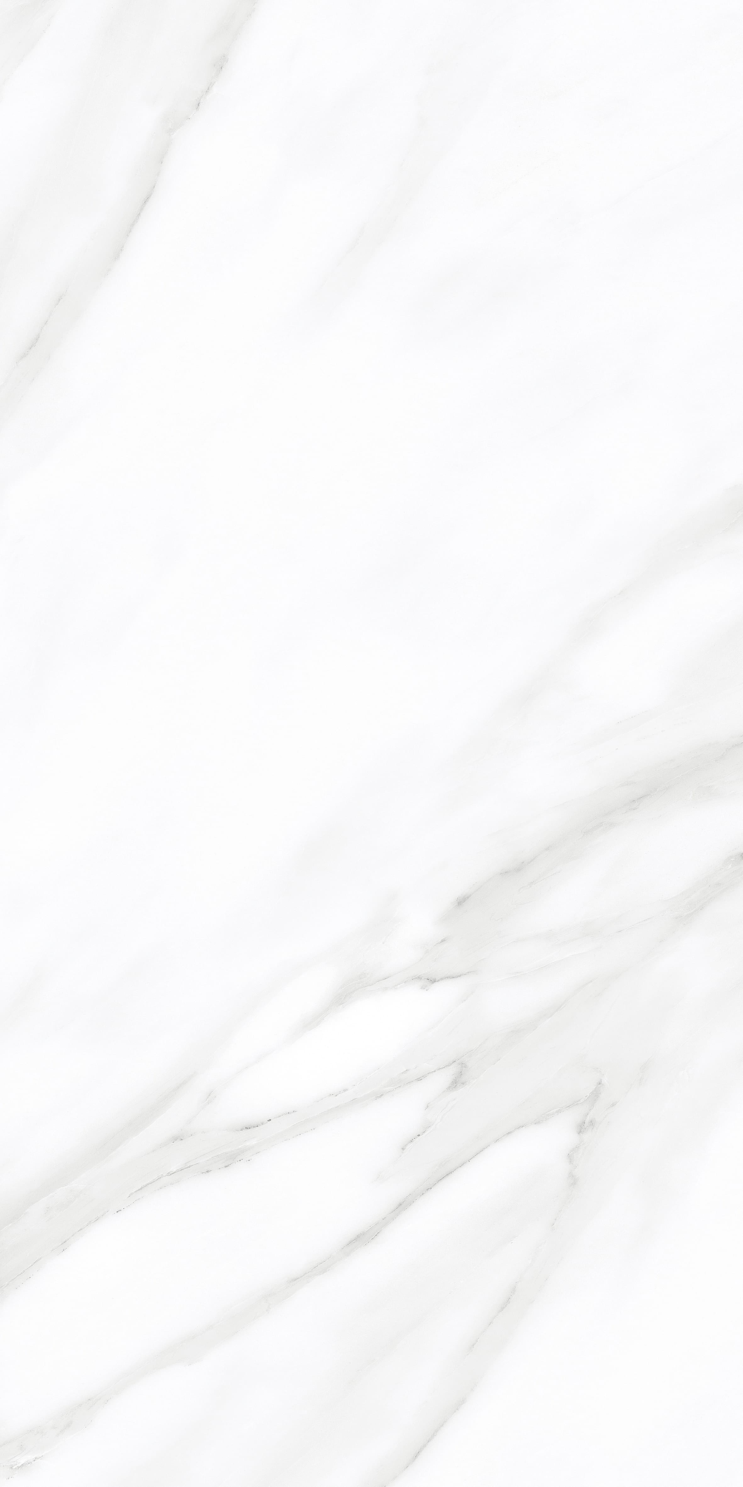 Eider White thumb 4