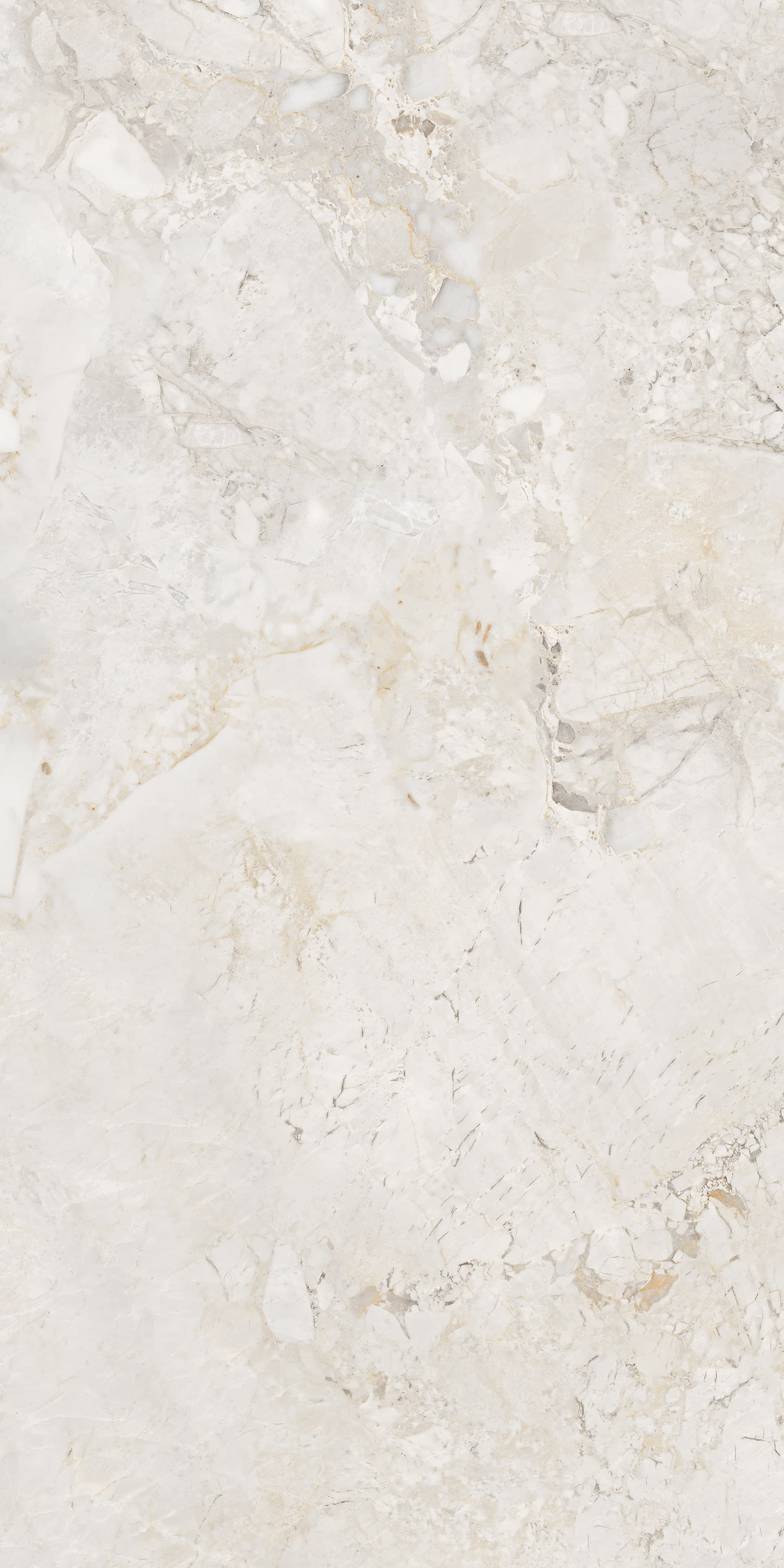 Ricardo Bianco slab 60 X 120 CM 1