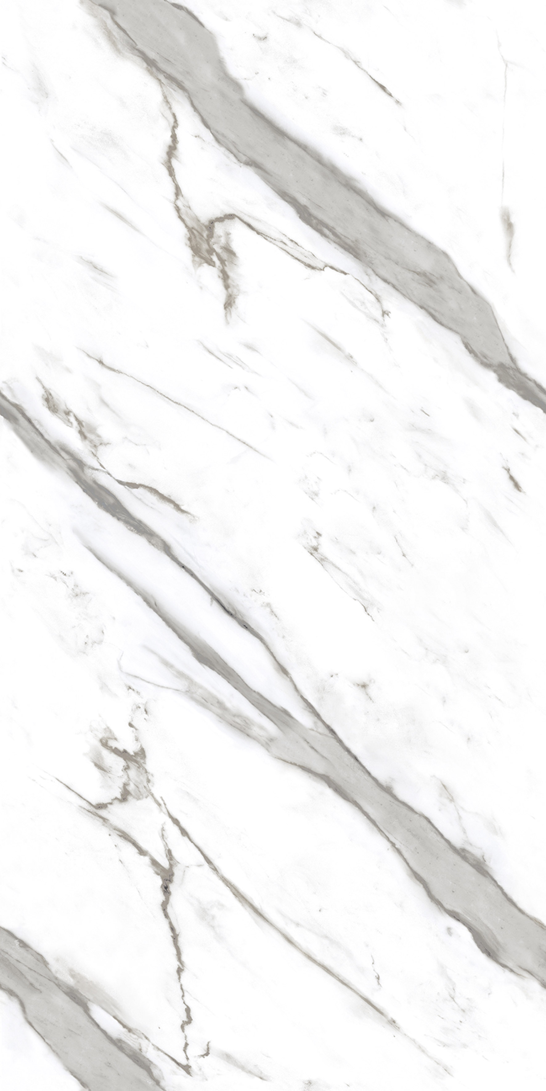 Cornelia White slab 60 X 120 CM 1