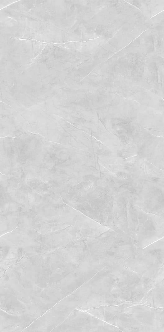 Bulgari Grey slab 120 X 240 CM 2