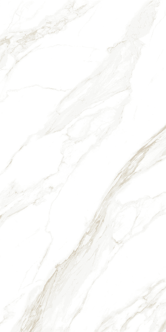 Davos Bianco slab 60 X 120 CM 5