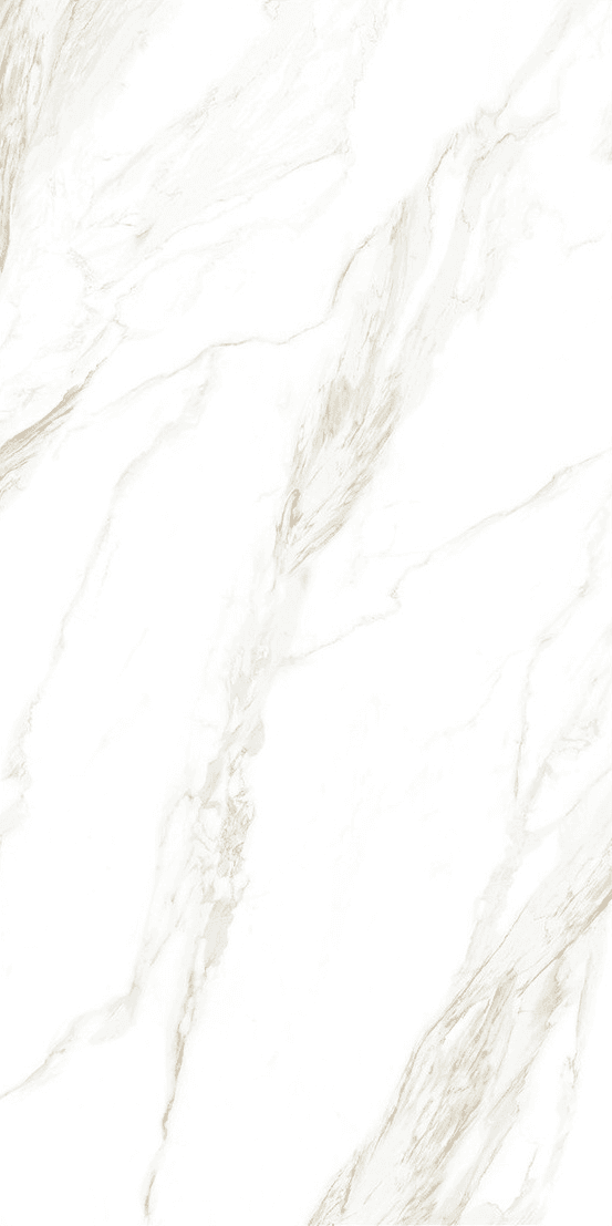 Davos Bianco slab 60 X 120 CM 3