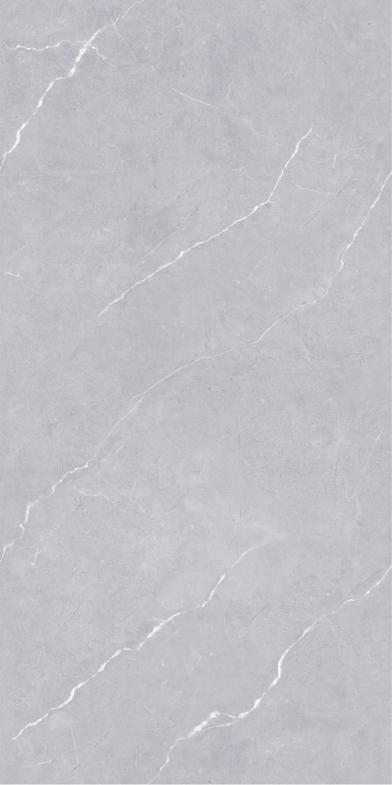 Carlos Dark Grey slab 60 X 120 CM 4