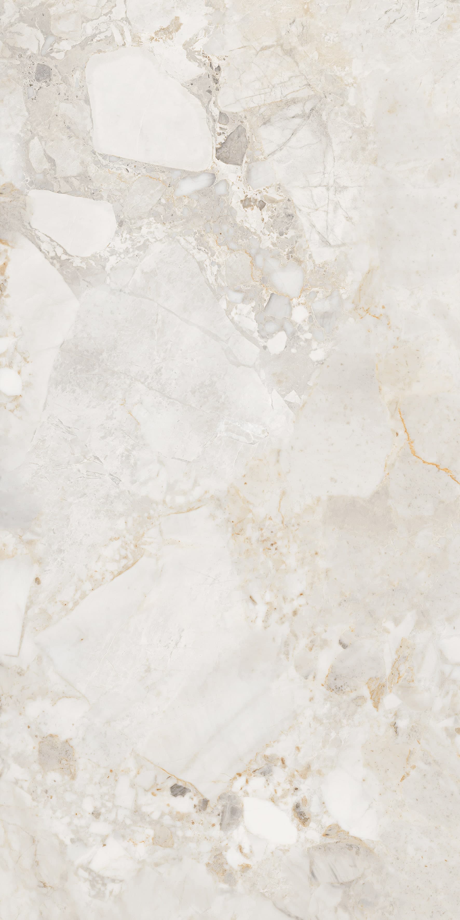 Ricardo Bianco slab 60 X 120 CM 5