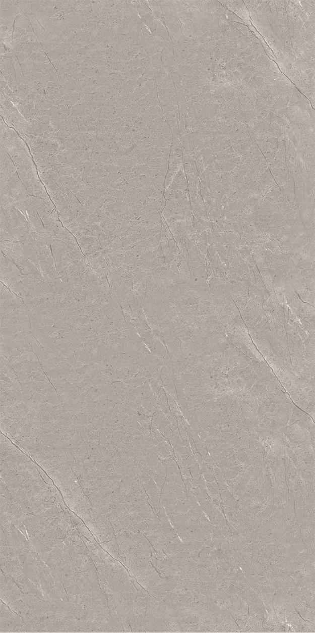 Arosa Grey slab 60 X 120 CM 1