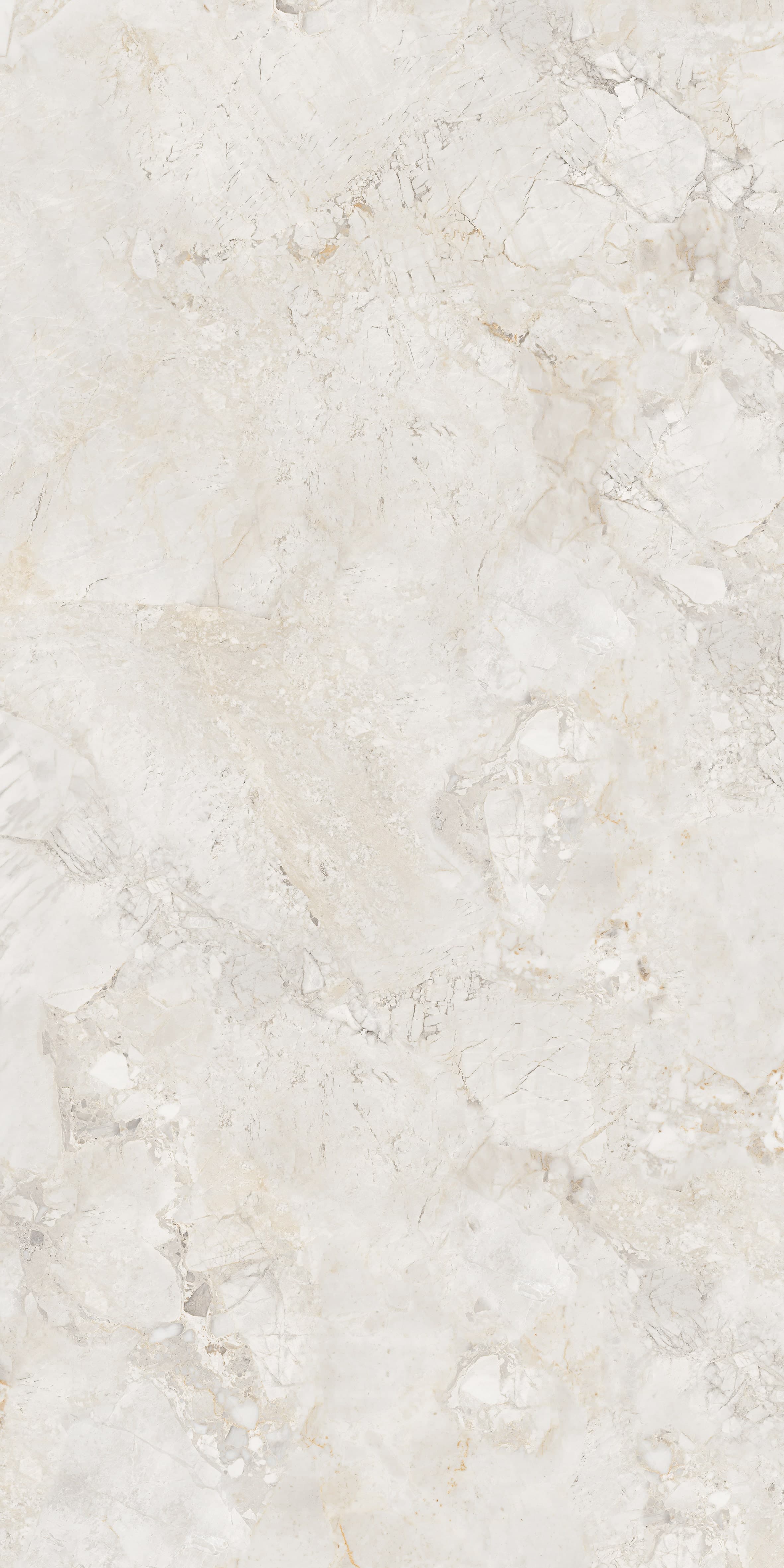 Ricardo Bianco slab 120 X 240 CM 3