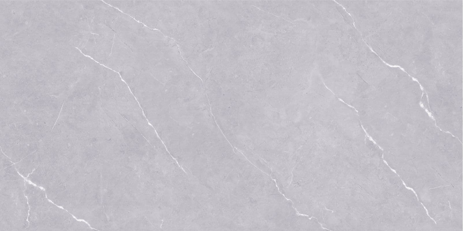 Carlos Dark Grey slab 60 X 120 CM 4