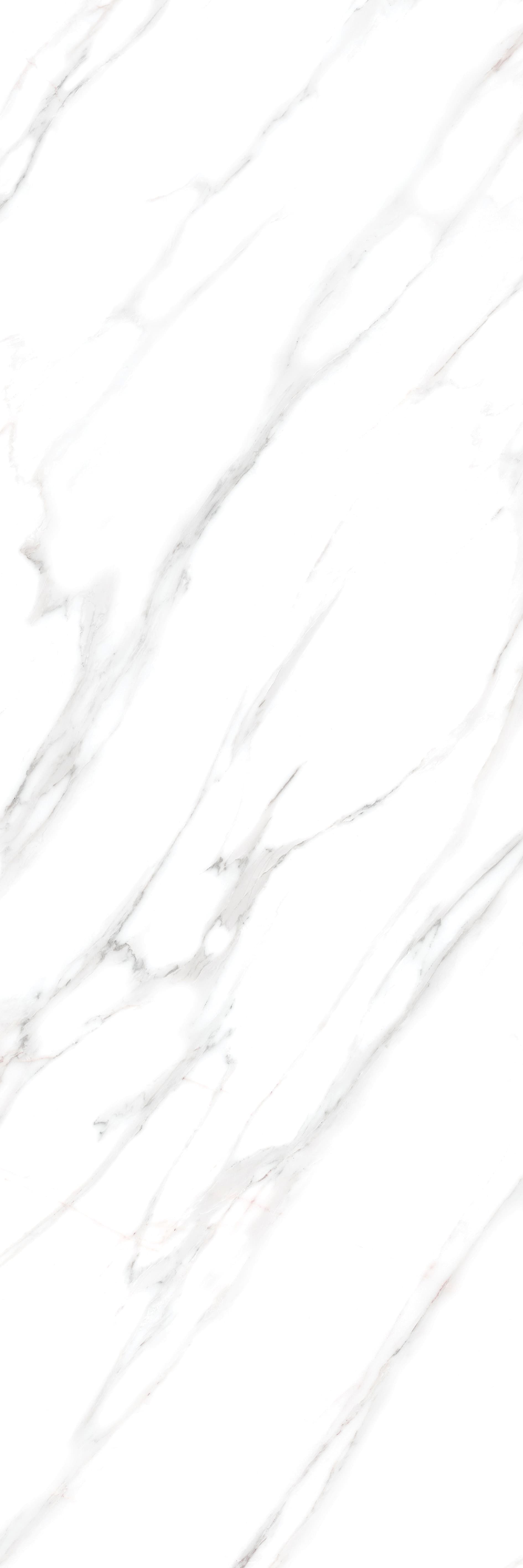 Alessio Bianco slab 80 X 240 CM 2