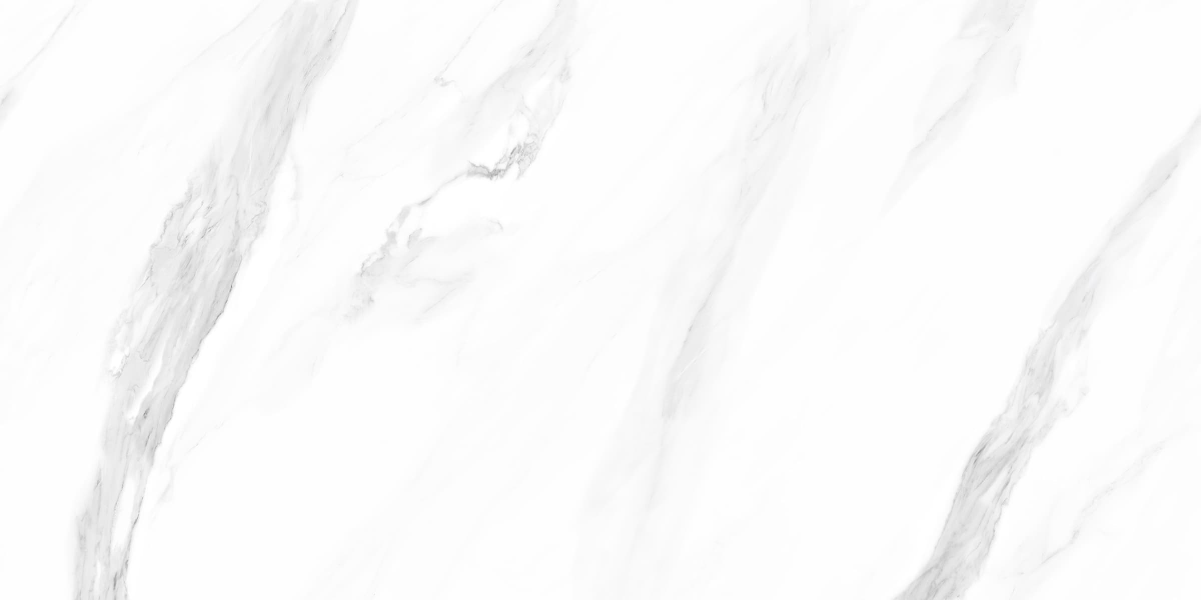 Siberian White - 4