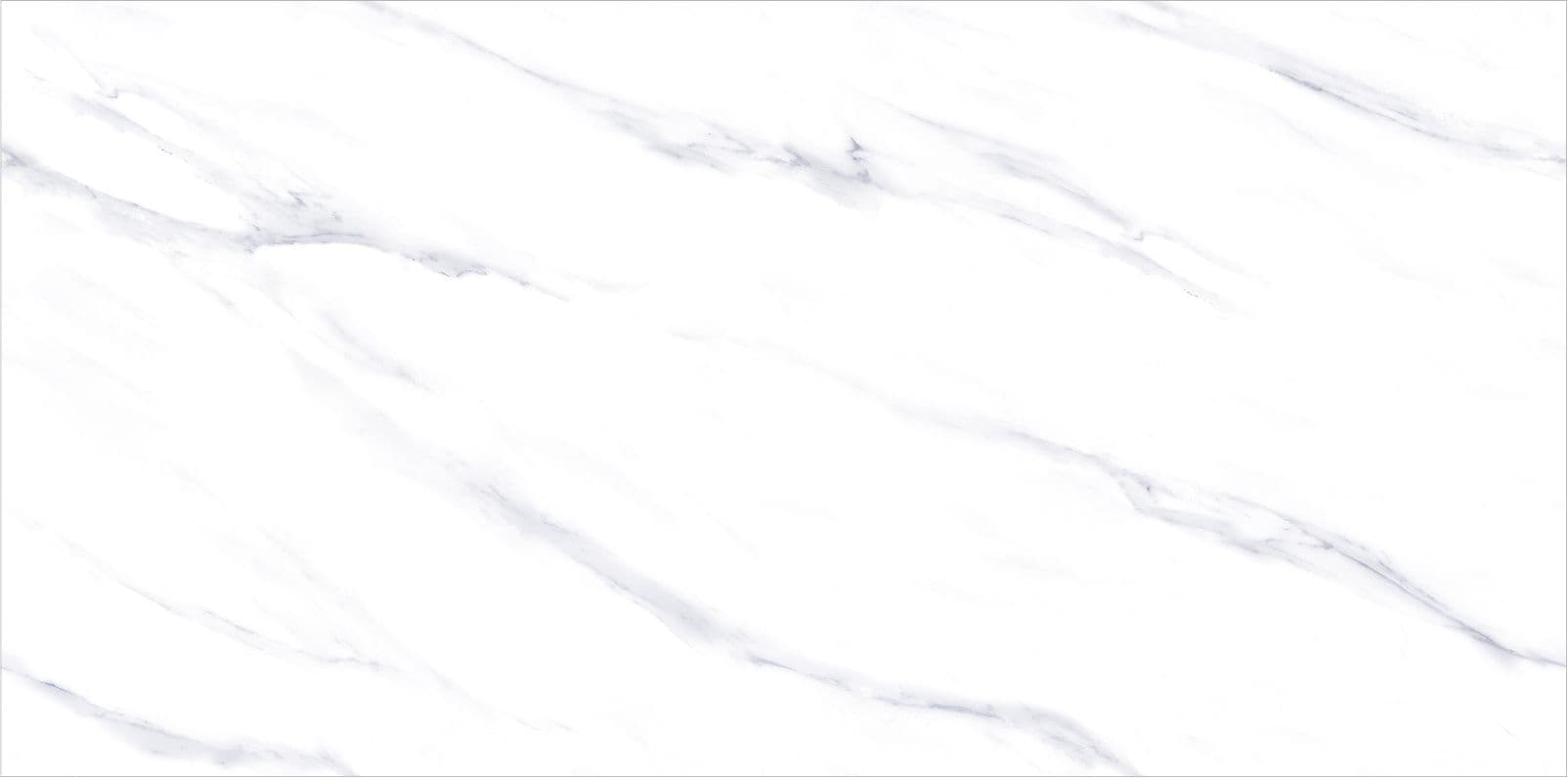 White Pinot slab 60 X 120 CM 1