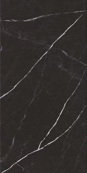 Venato Nero slab 120 X 240 CM 4