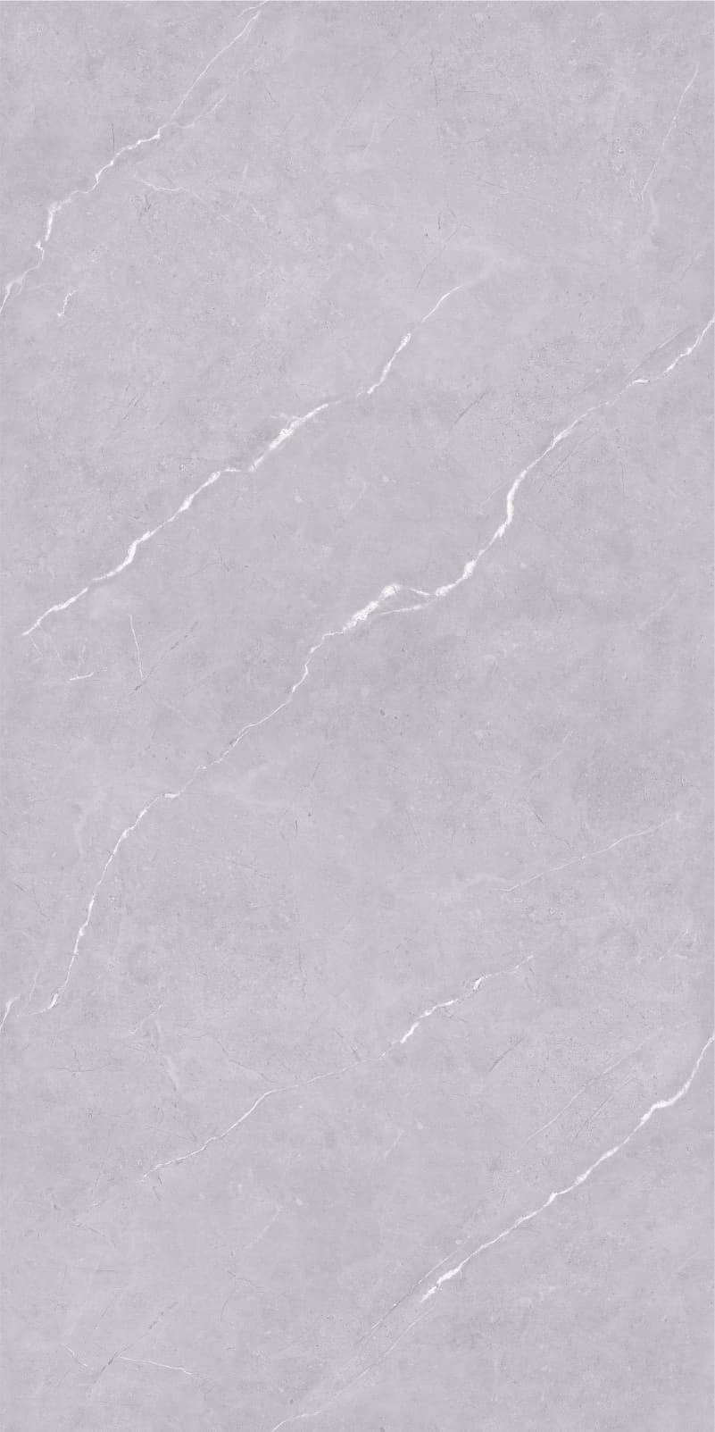 Carlos Dark Grey slab 60 X 120 CM 3