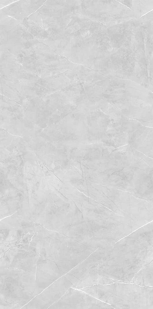 Bulgari Grey slab 120 X 240 CM 1