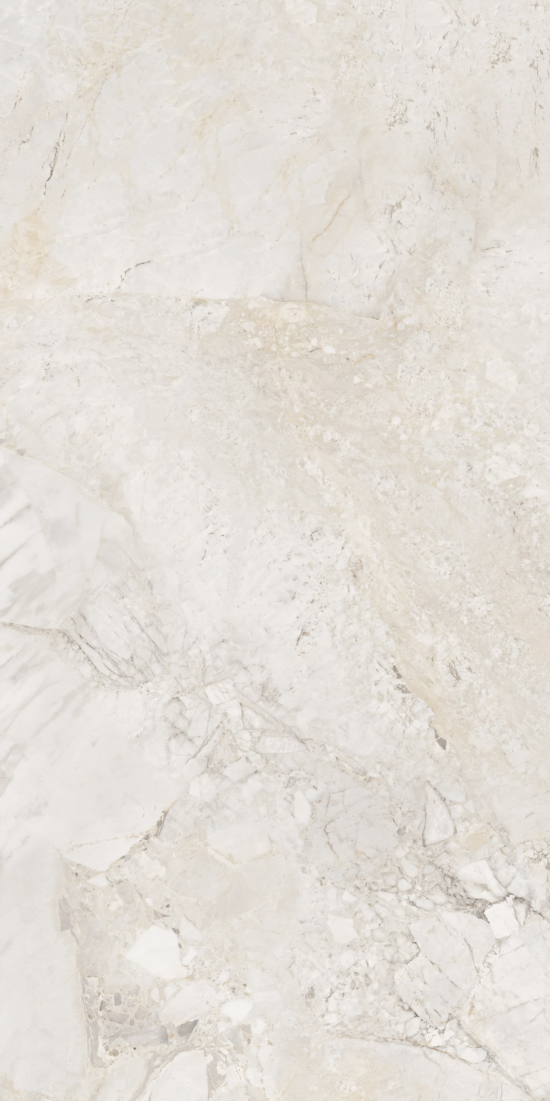 Ricardo Bianco slab 60 X 120 CM 3