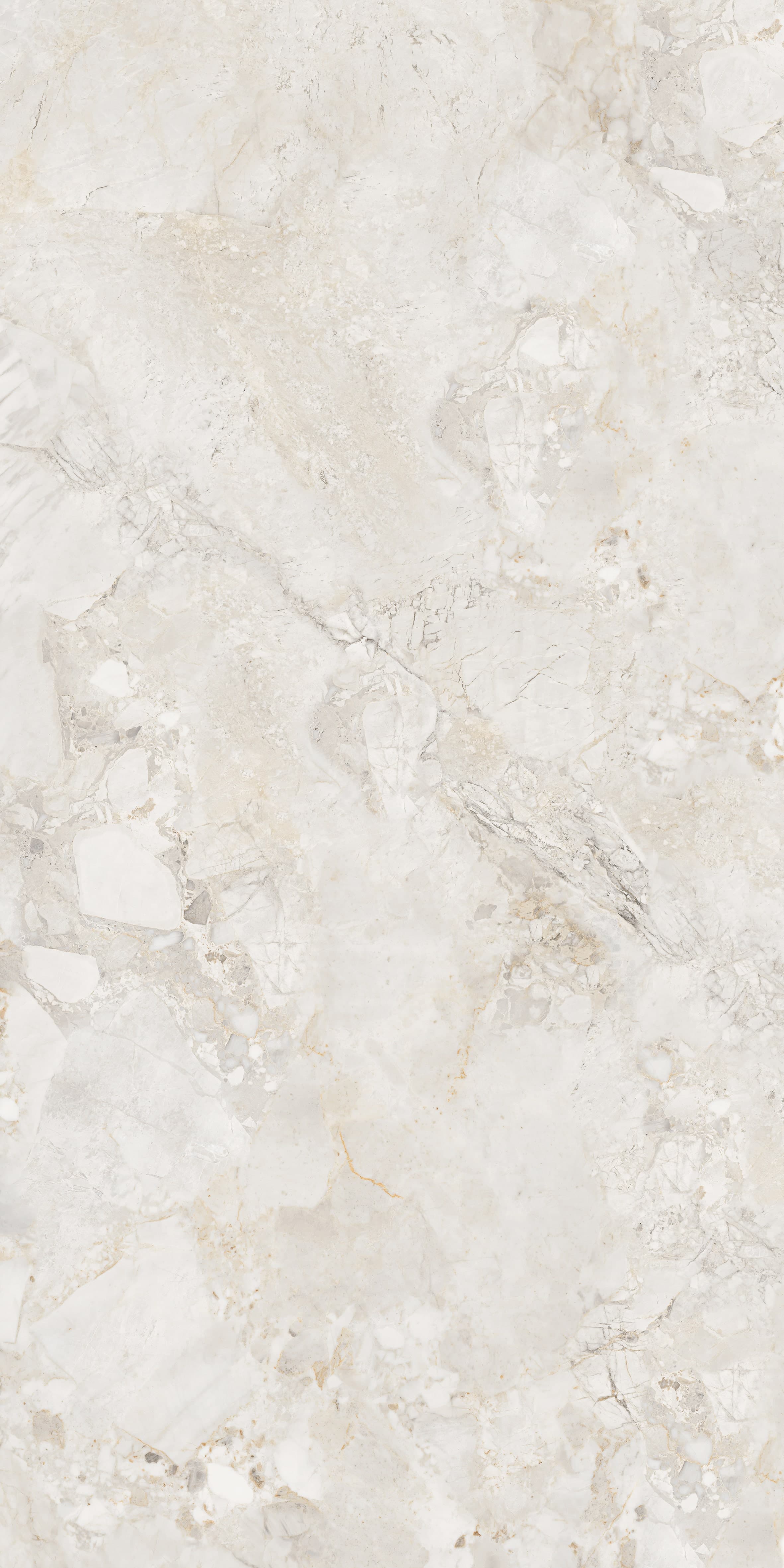 Ricardo Bianco slab 120 X 240 CM 2
