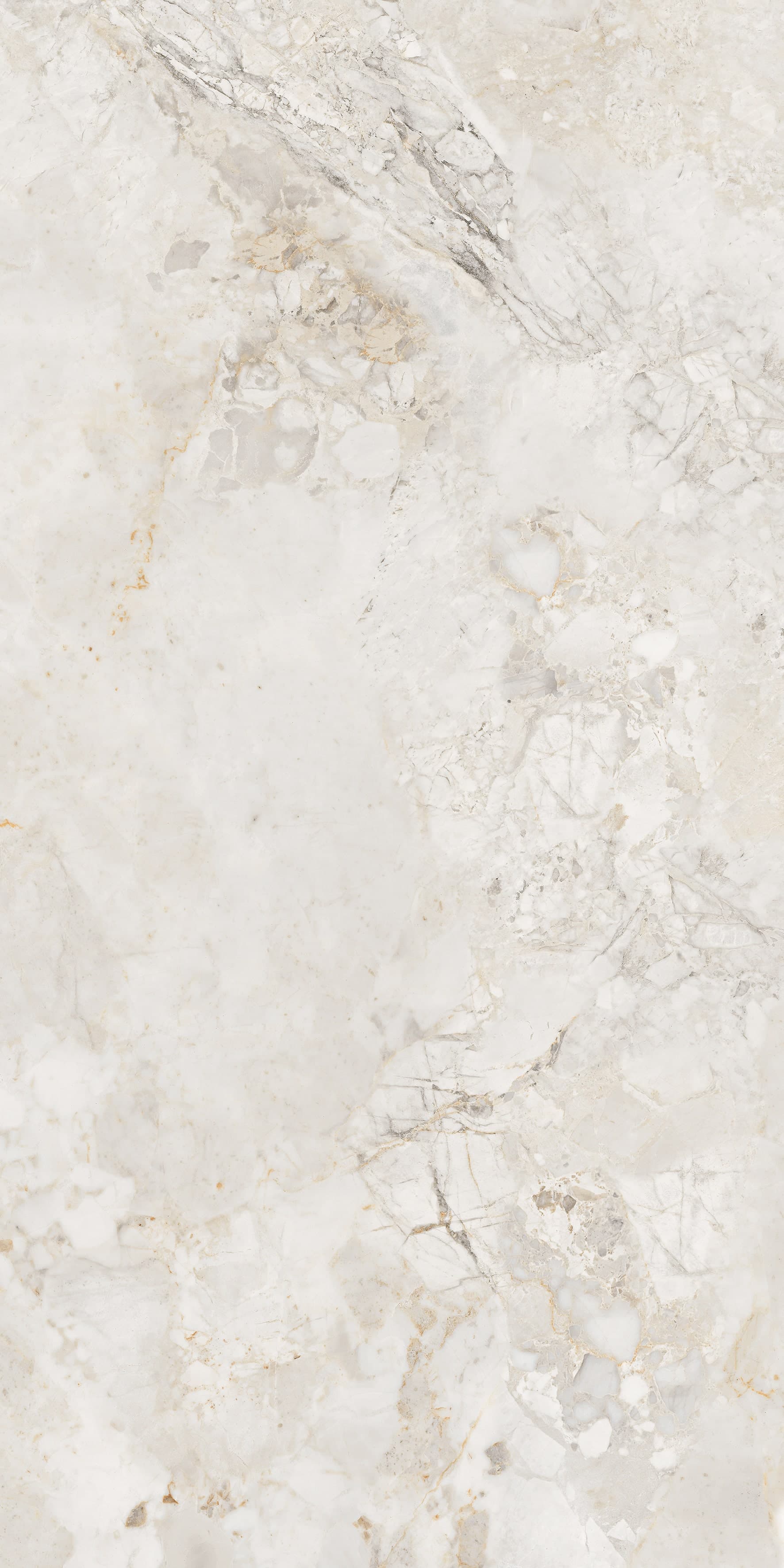 Ricardo Bianco slab 60 X 120 CM 6