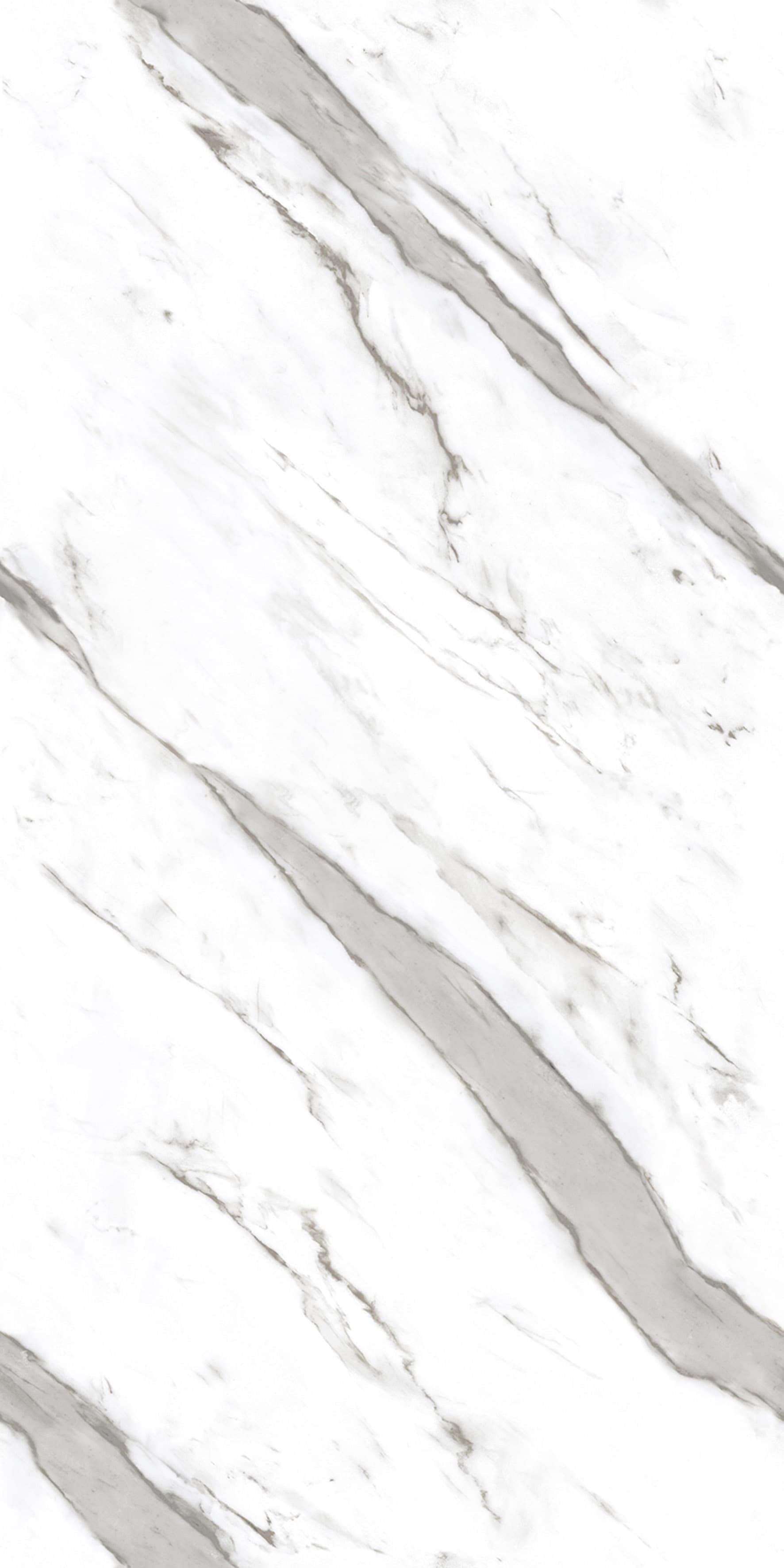 Cornelia White slab 60 X 120 CM 3