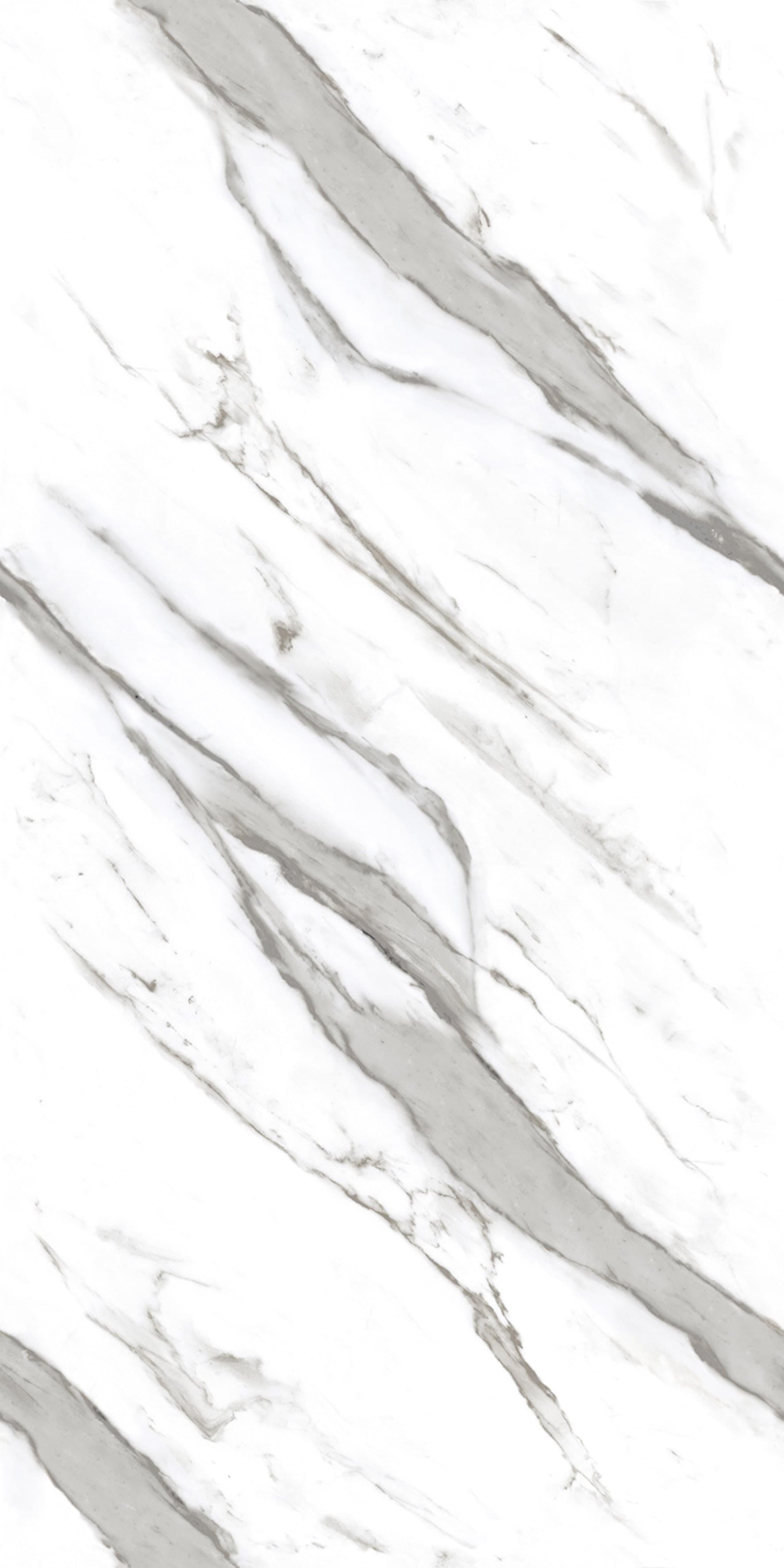 Cornelia White slab 60 X 120 CM 4