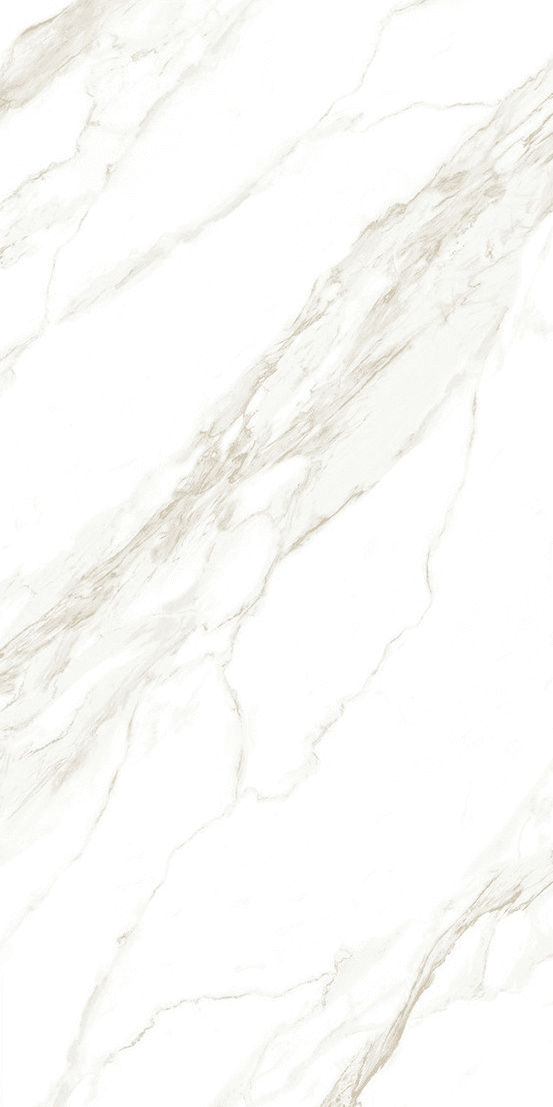 Davos Bianco slab 60 X 120 CM 4