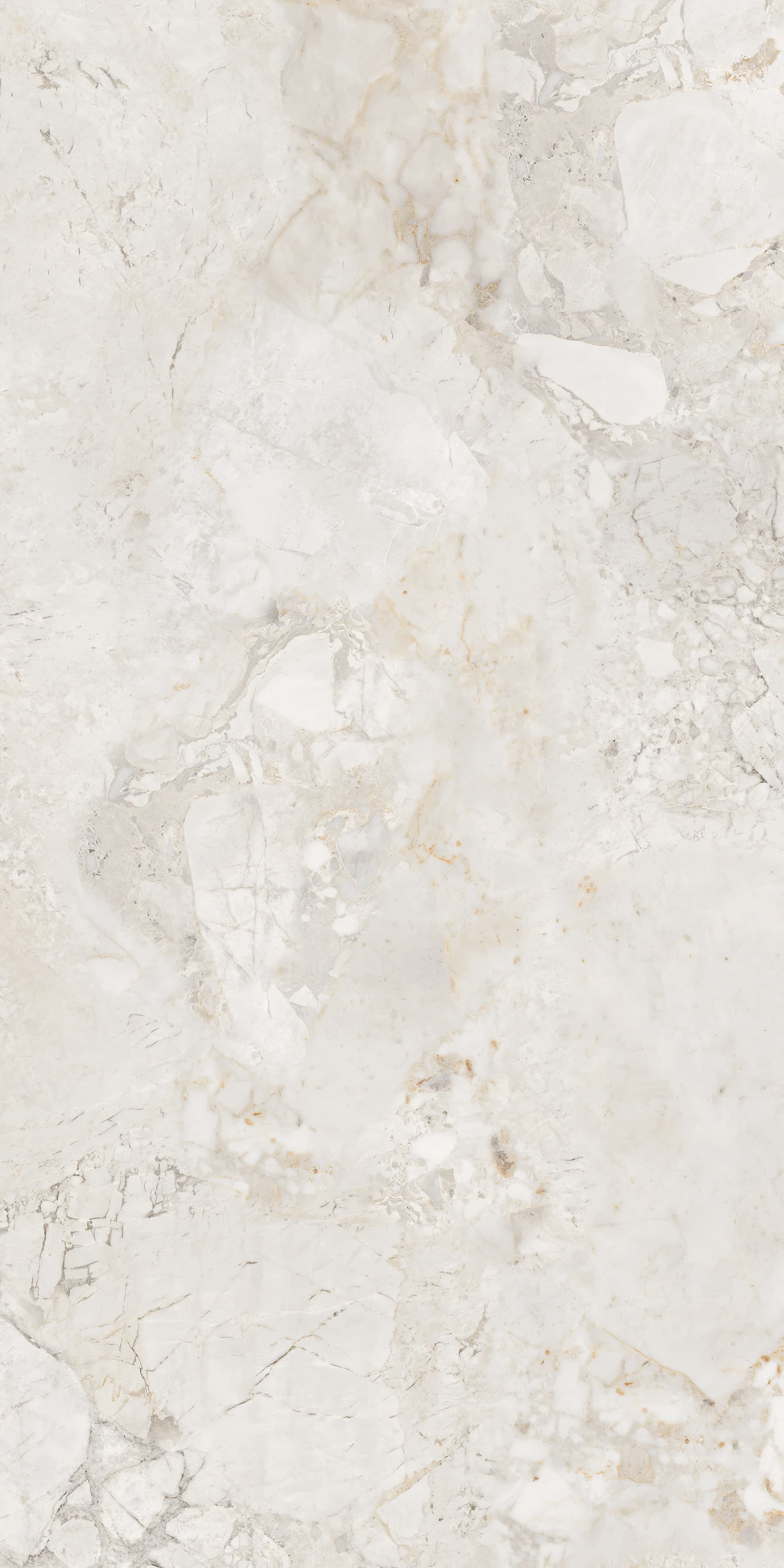 Ricardo Bianco slab 60 X 120 CM 4