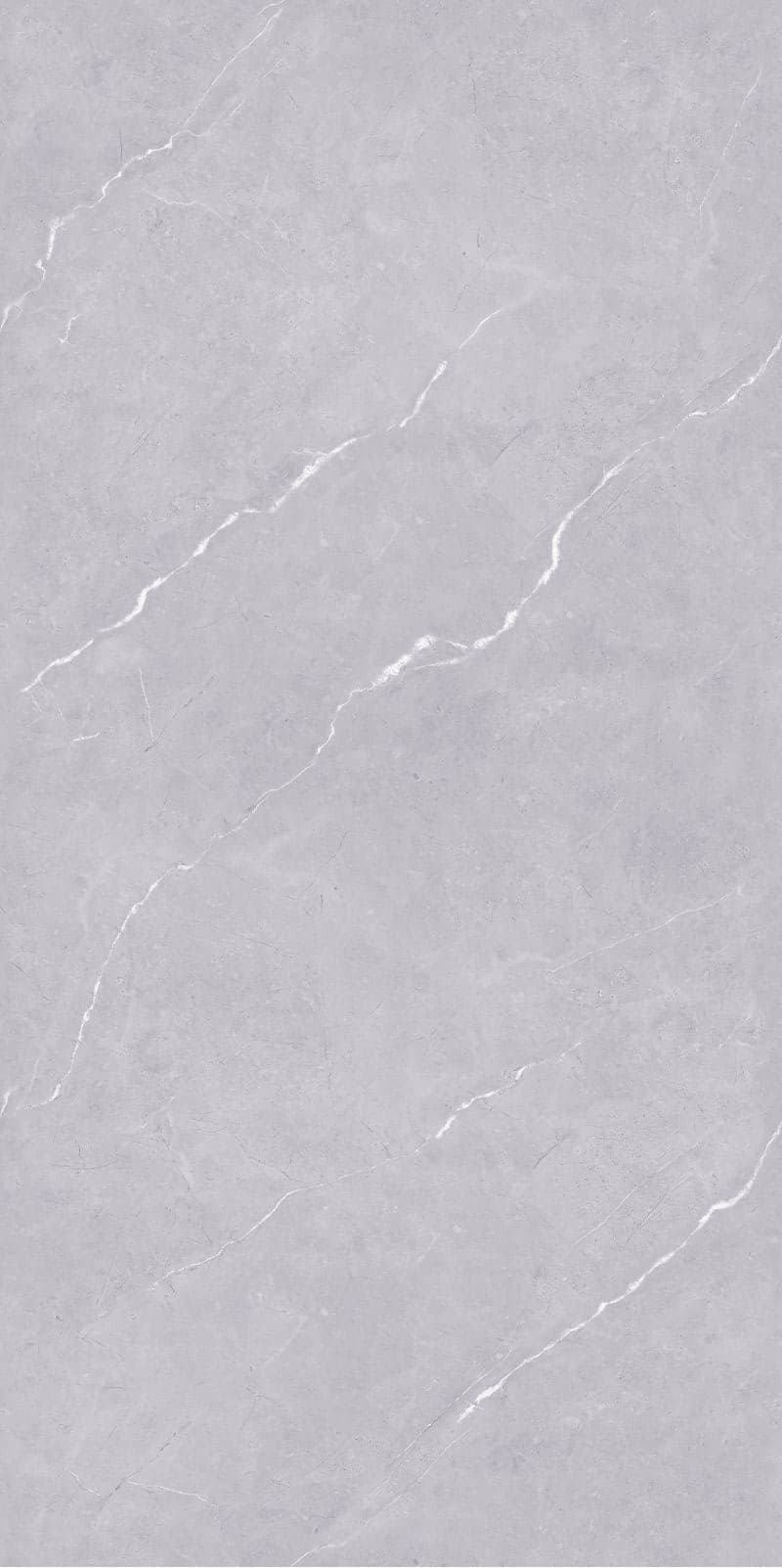 Carlos Dark Grey slab 60 X 120 CM 2