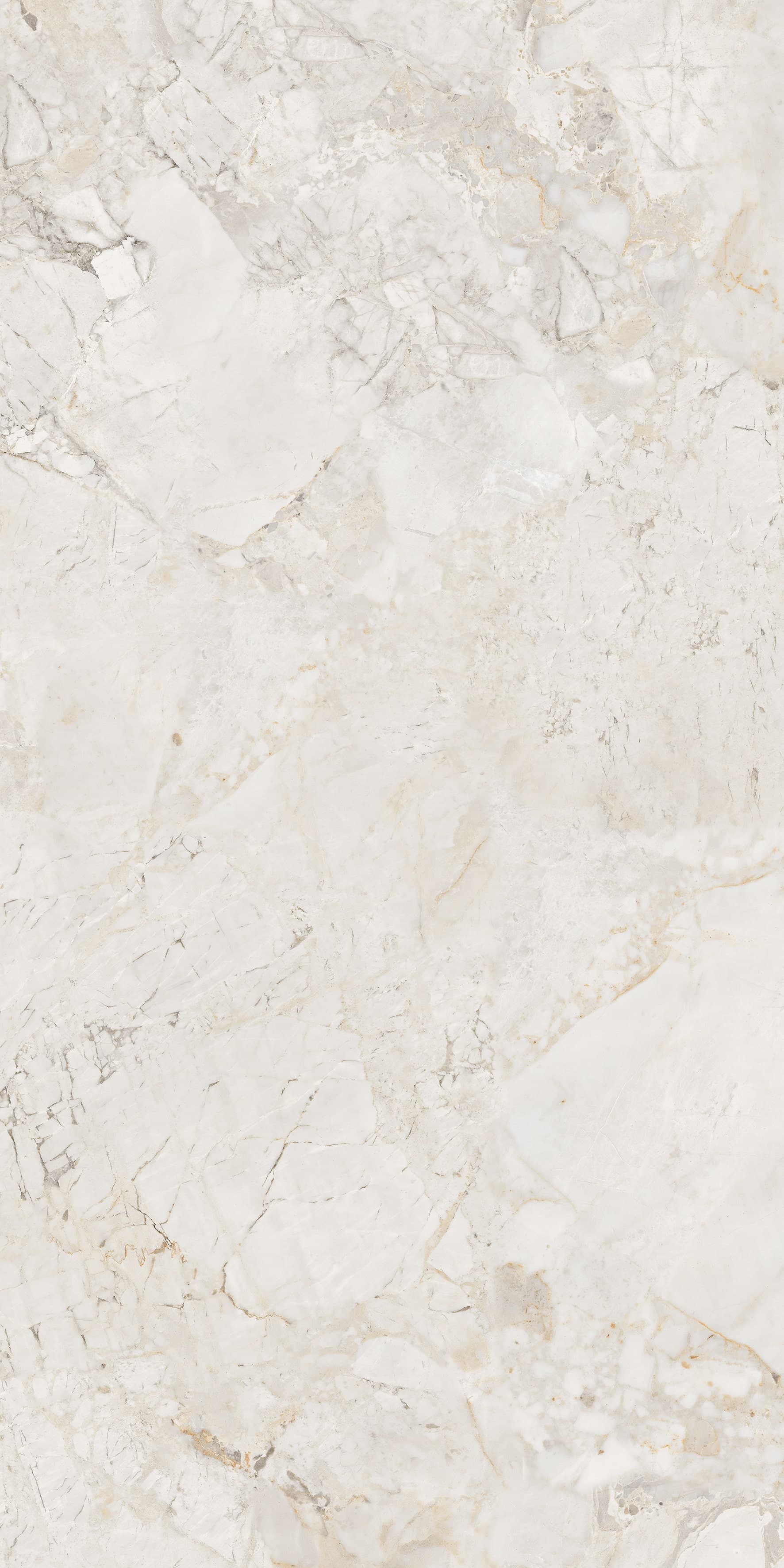 Ricardo Bianco slab 60 X 120 CM 2