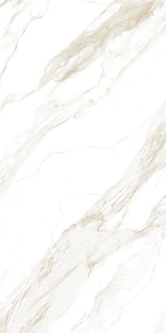 Davos Bianco slab 60 X 120 CM 1