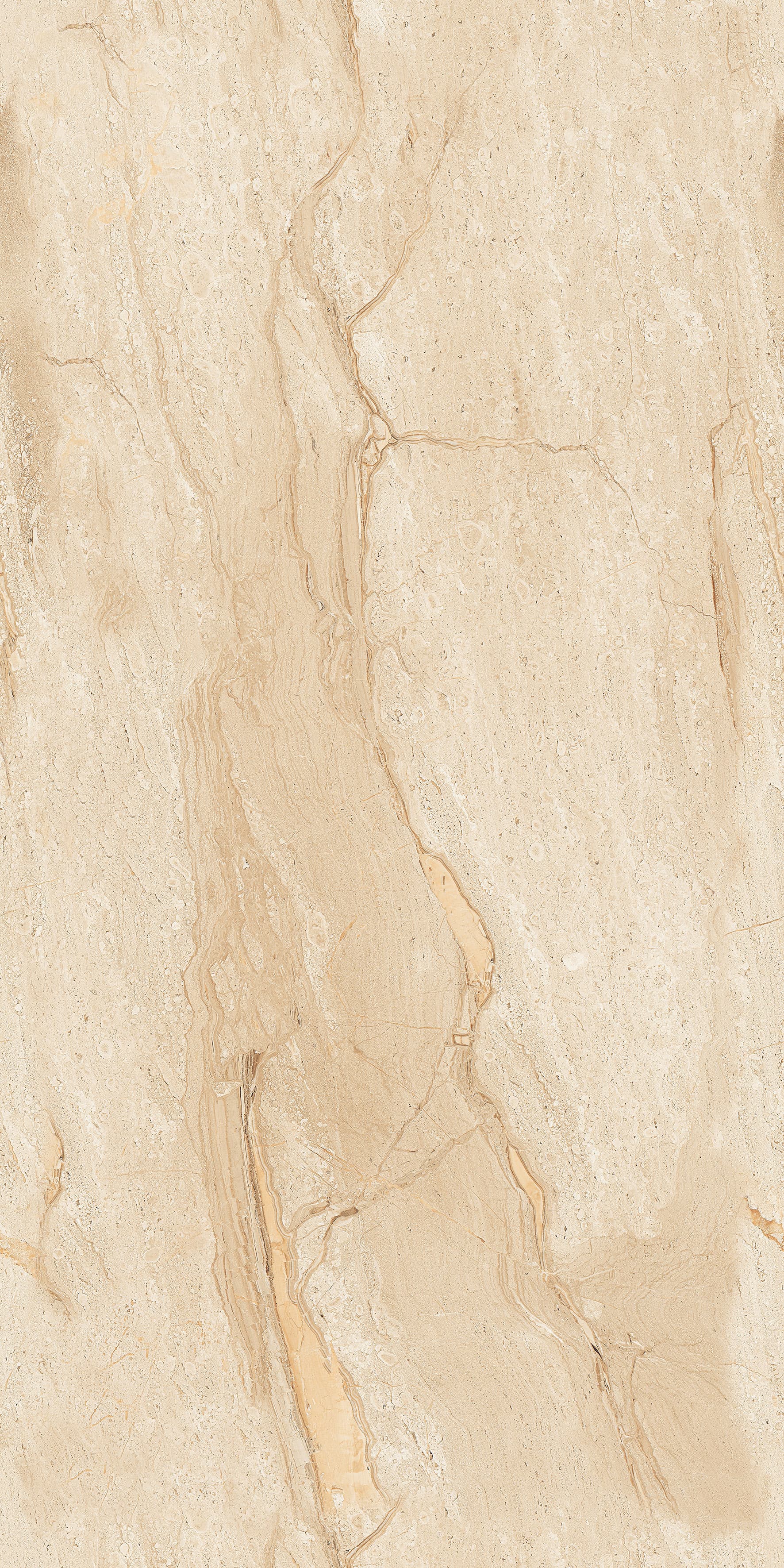 Atacama Beige slab 60 X 120 CM 3
