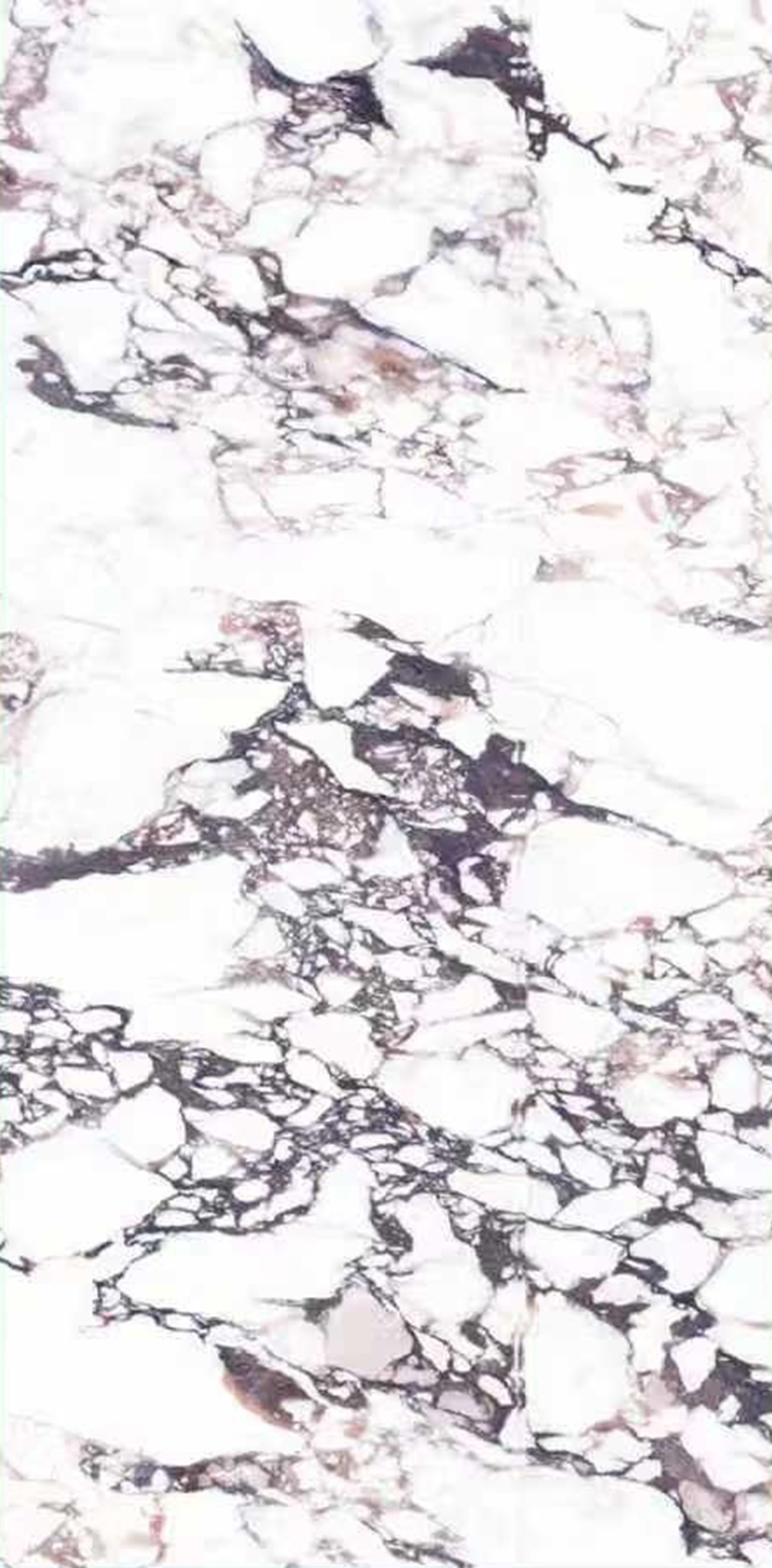 Ragnatela Marmi slab 120 X 240 CM 3