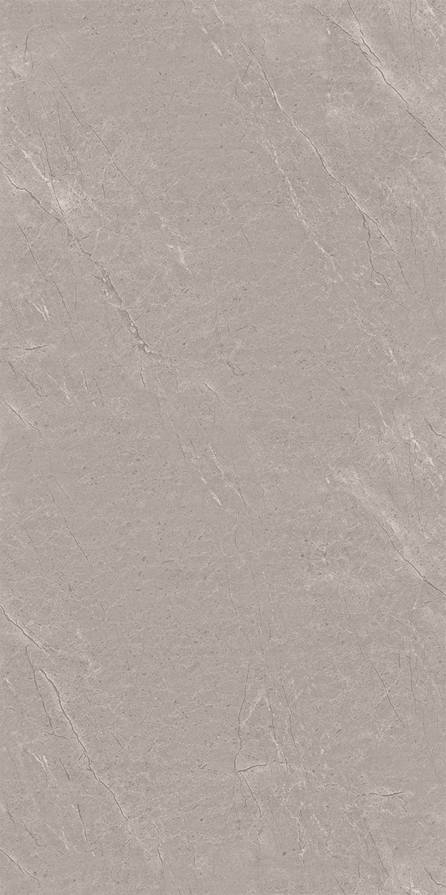 Arosa Grey slab 60 X 120 CM 4