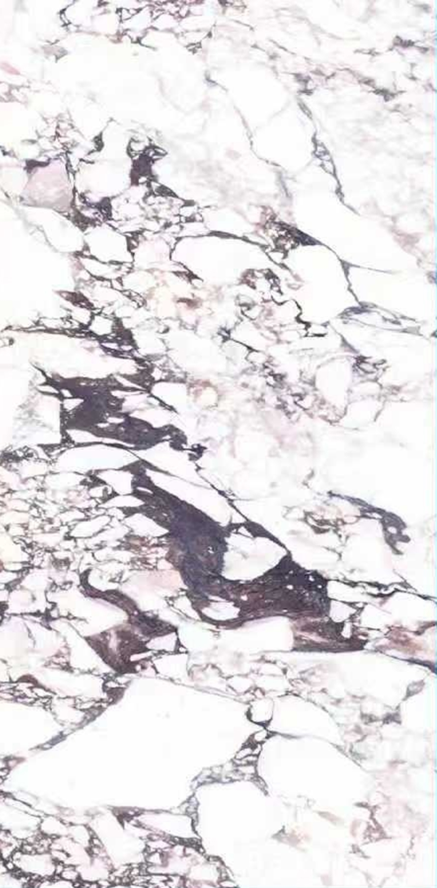 Ragnatela Marmi slab 120 X 240 CM 4