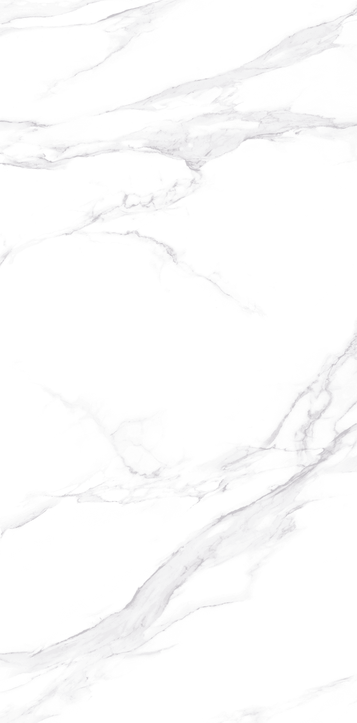 Belluno White