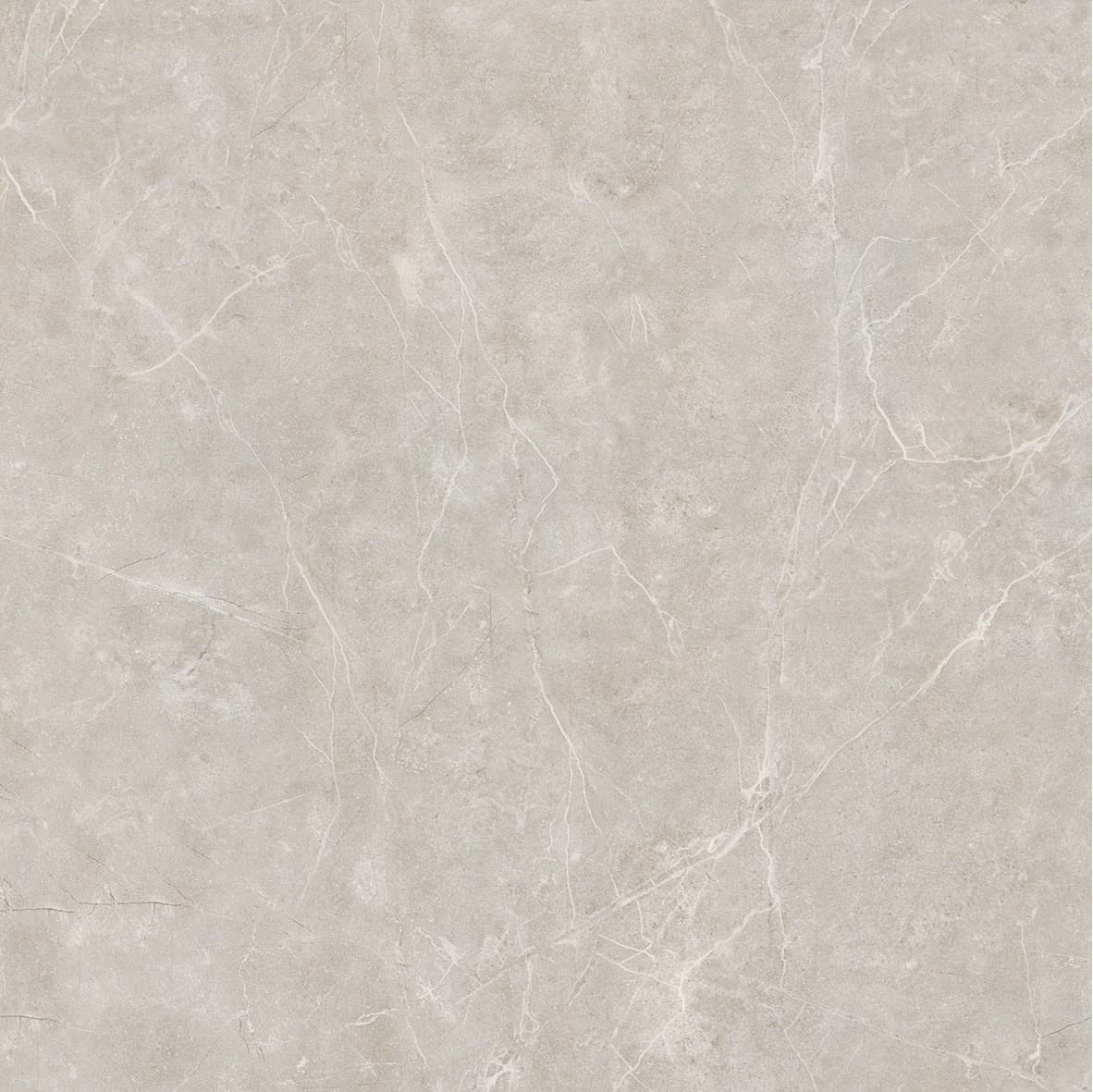 Antarch Light Grey - 1