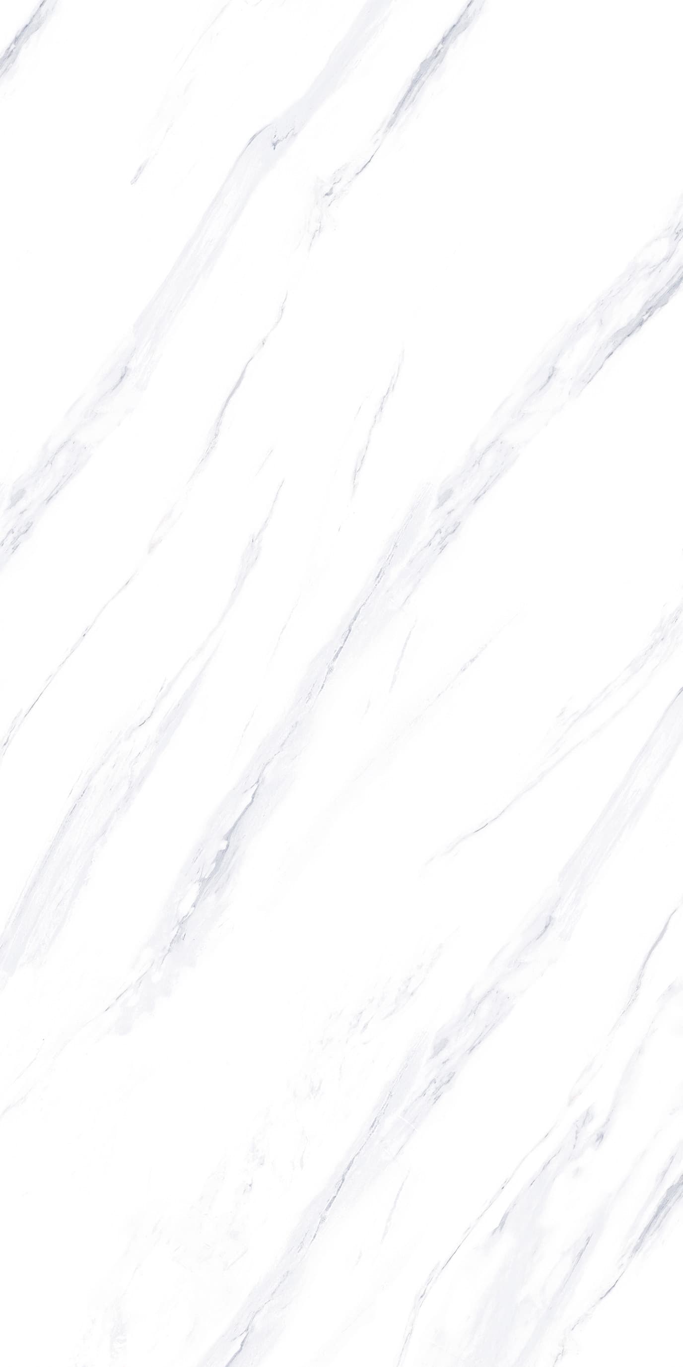 Bologna White