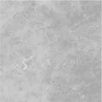 Luca Dark Grey - 1