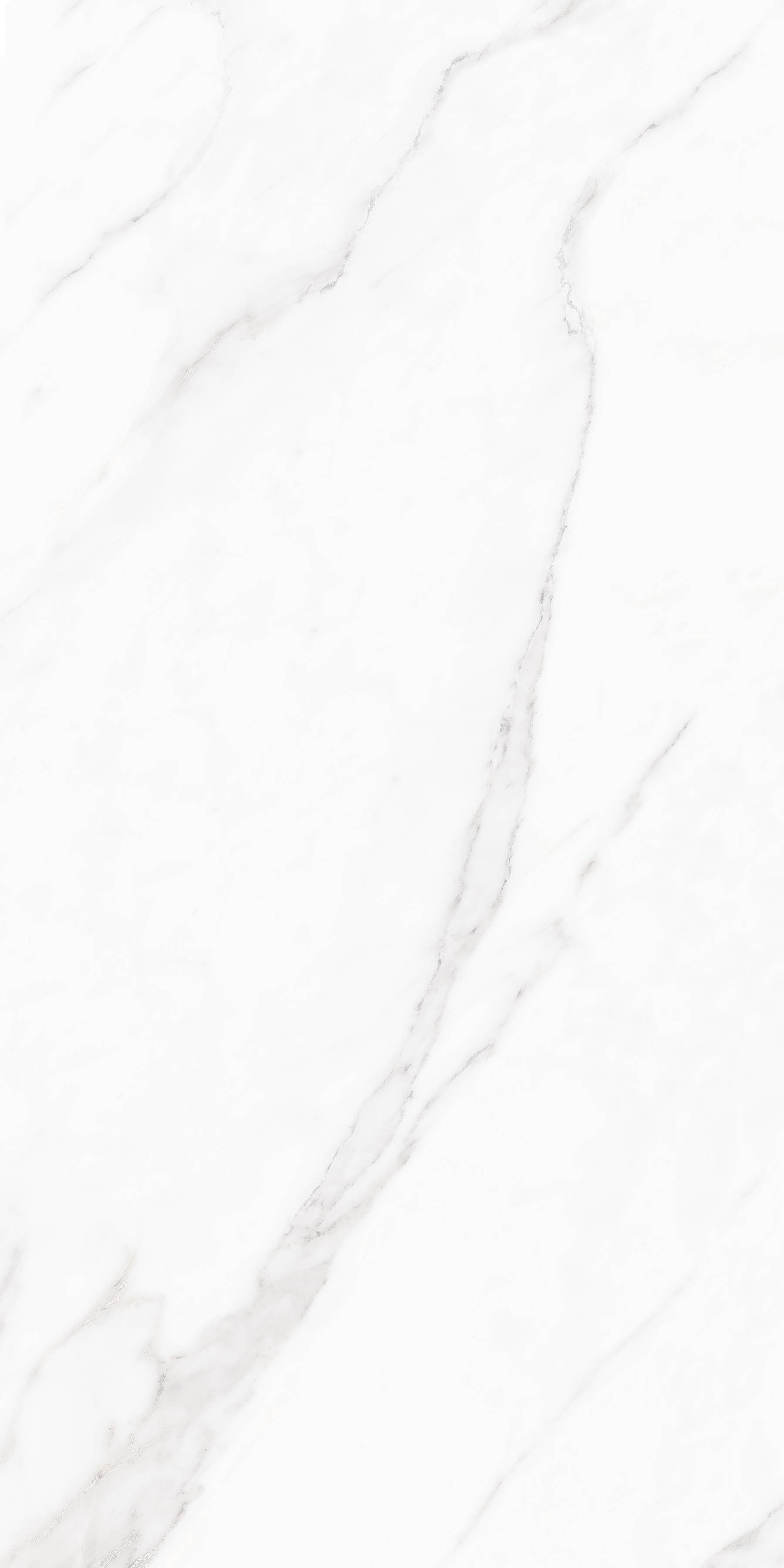 Arctic Statuario