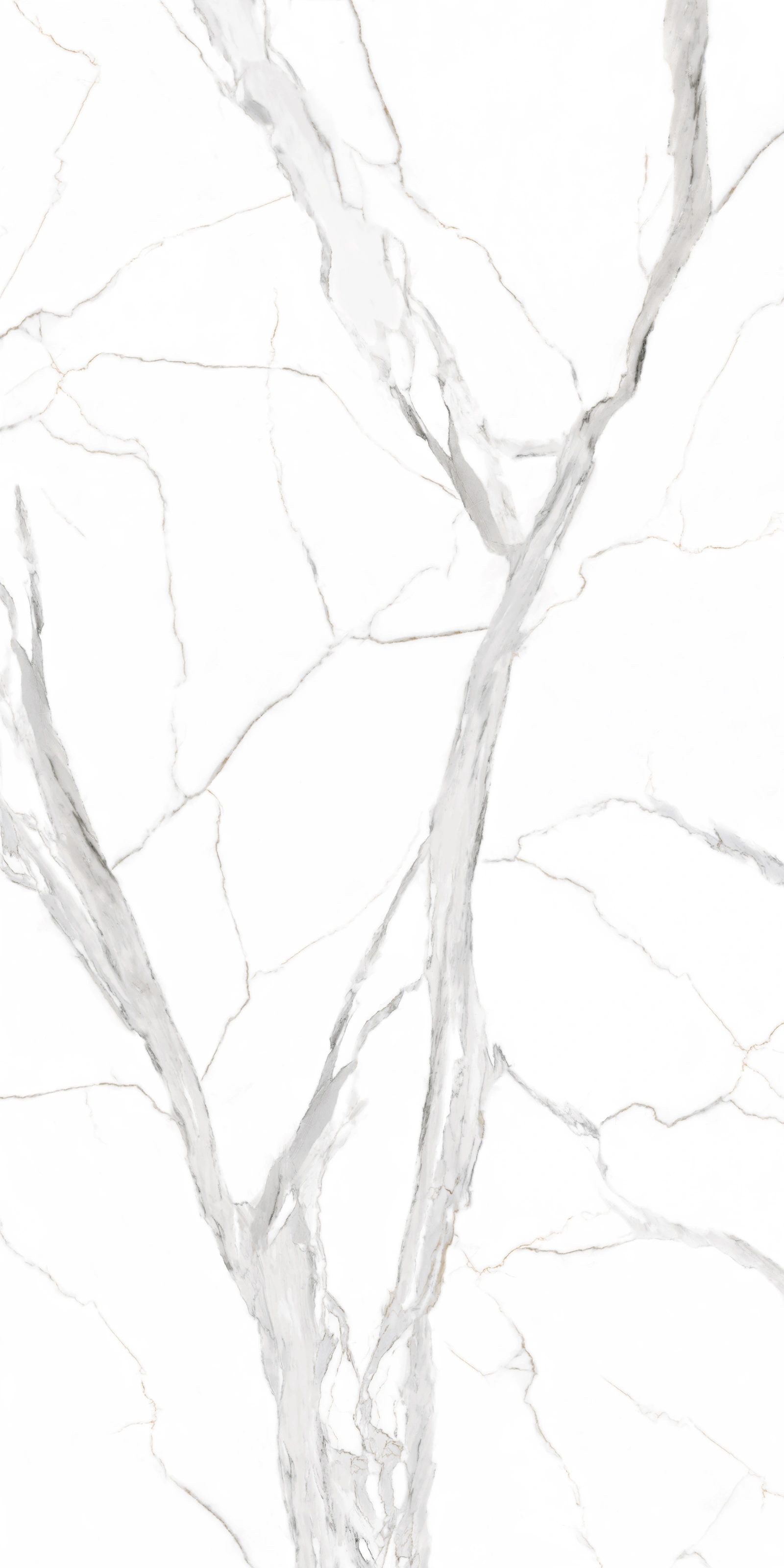 Rue Silver