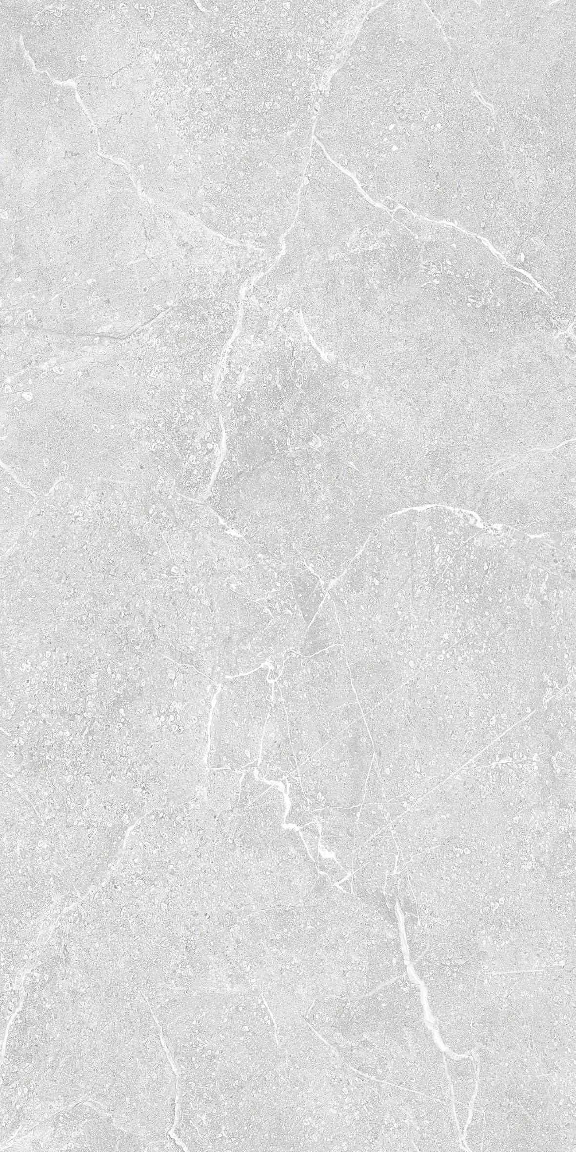 VG Elegant Silver