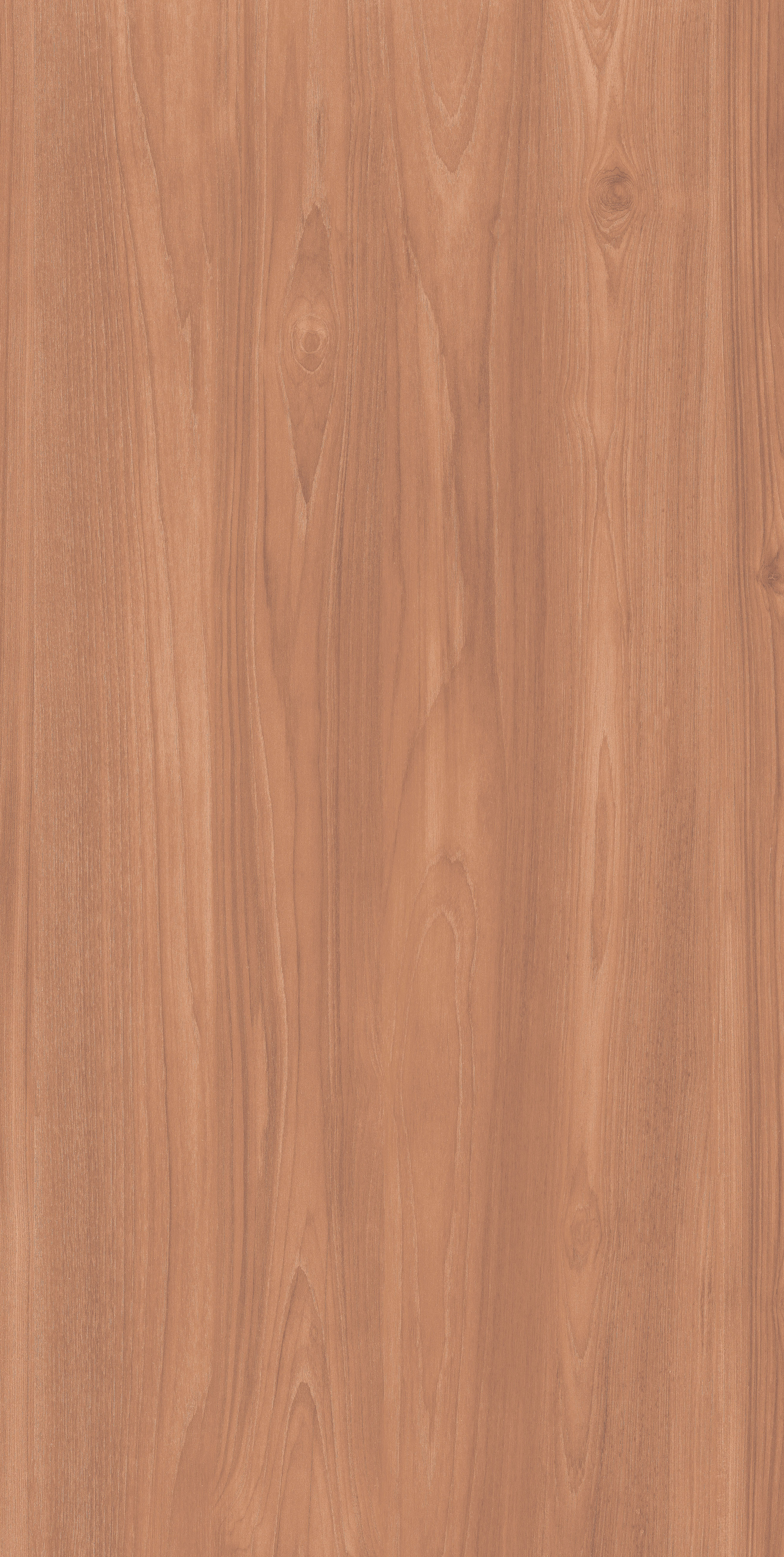 Magro Wood - 1